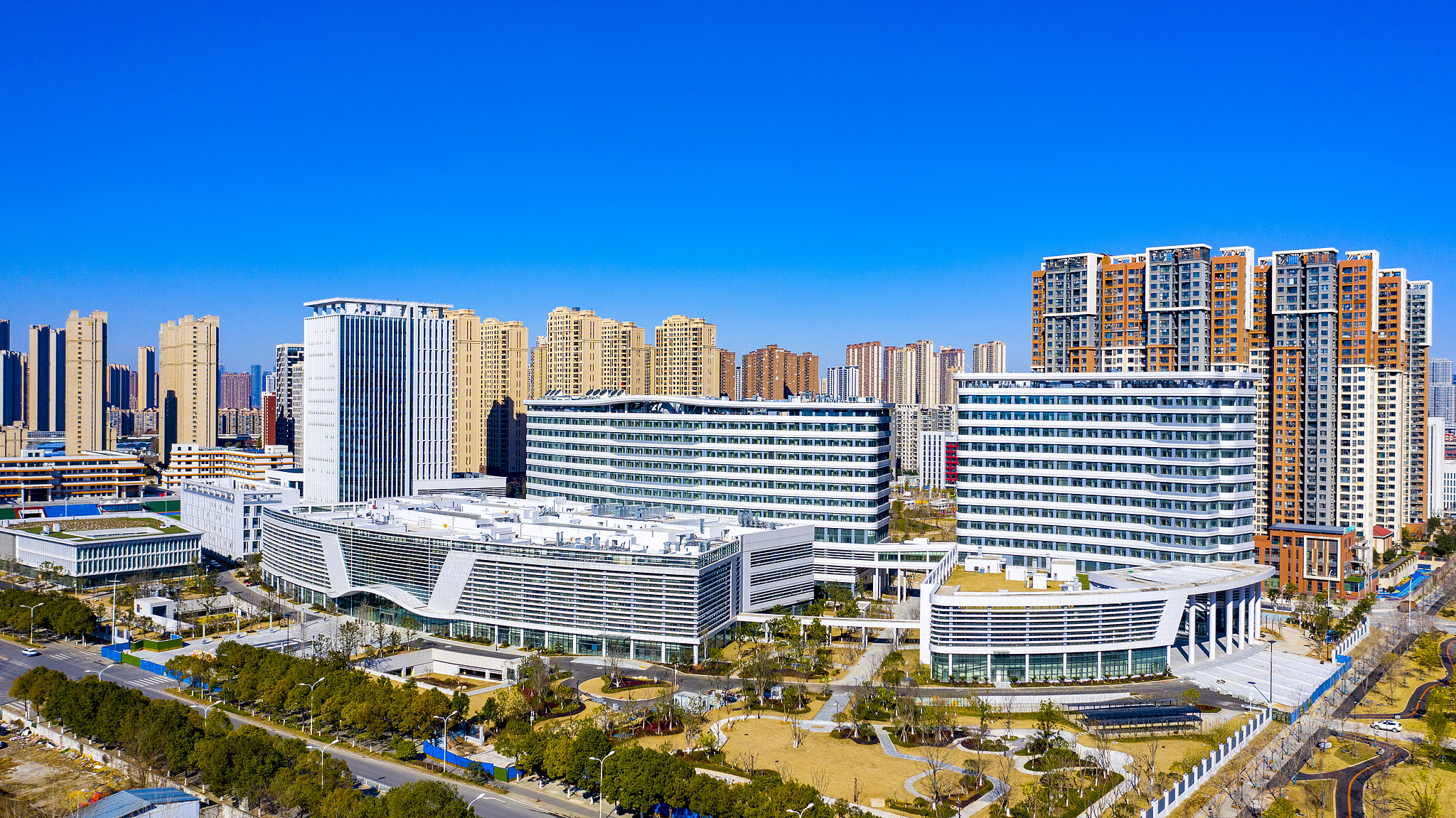 From wartime rubble to a leading medical institution