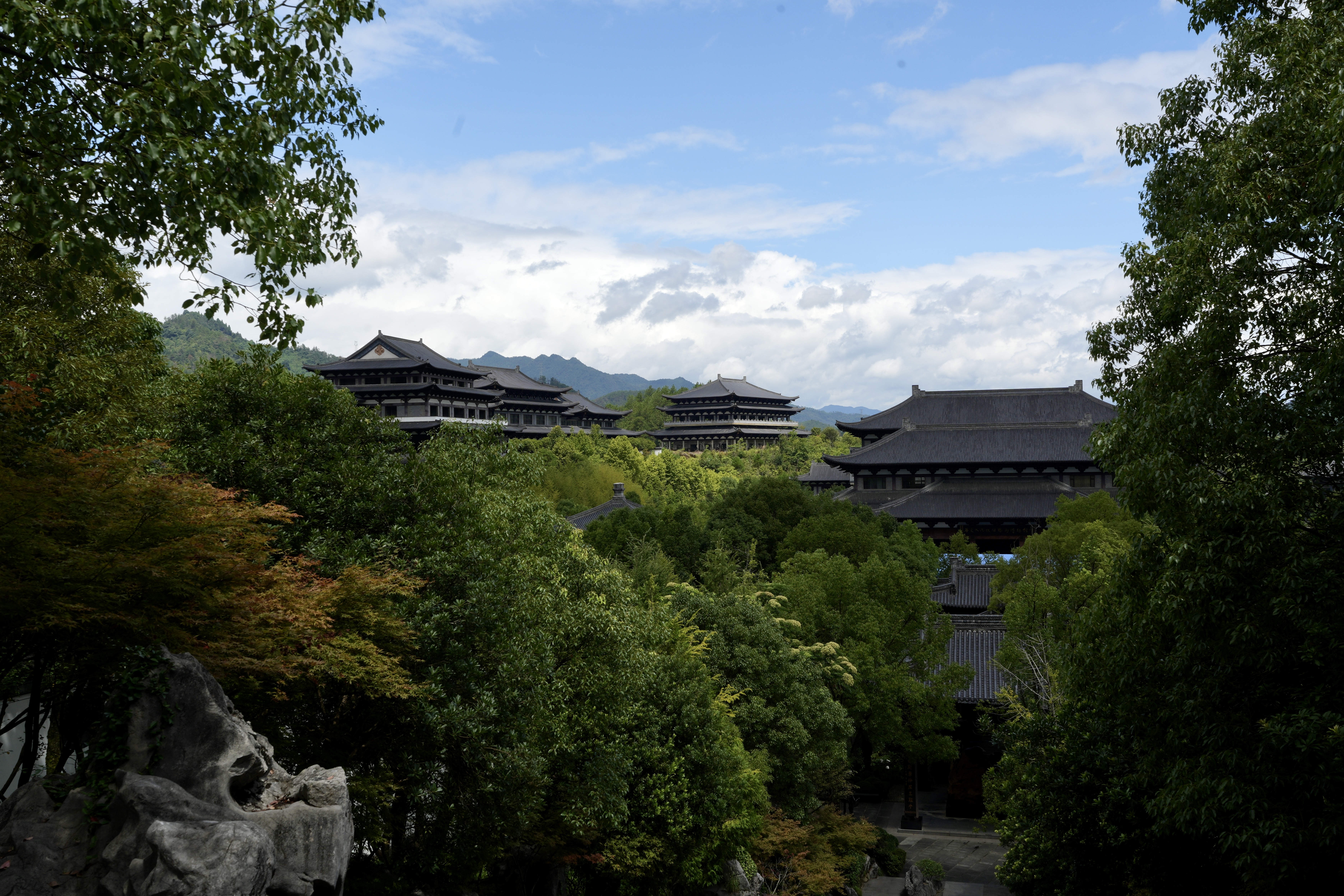 Genyuan Town: A gateway to China's root carving heritage