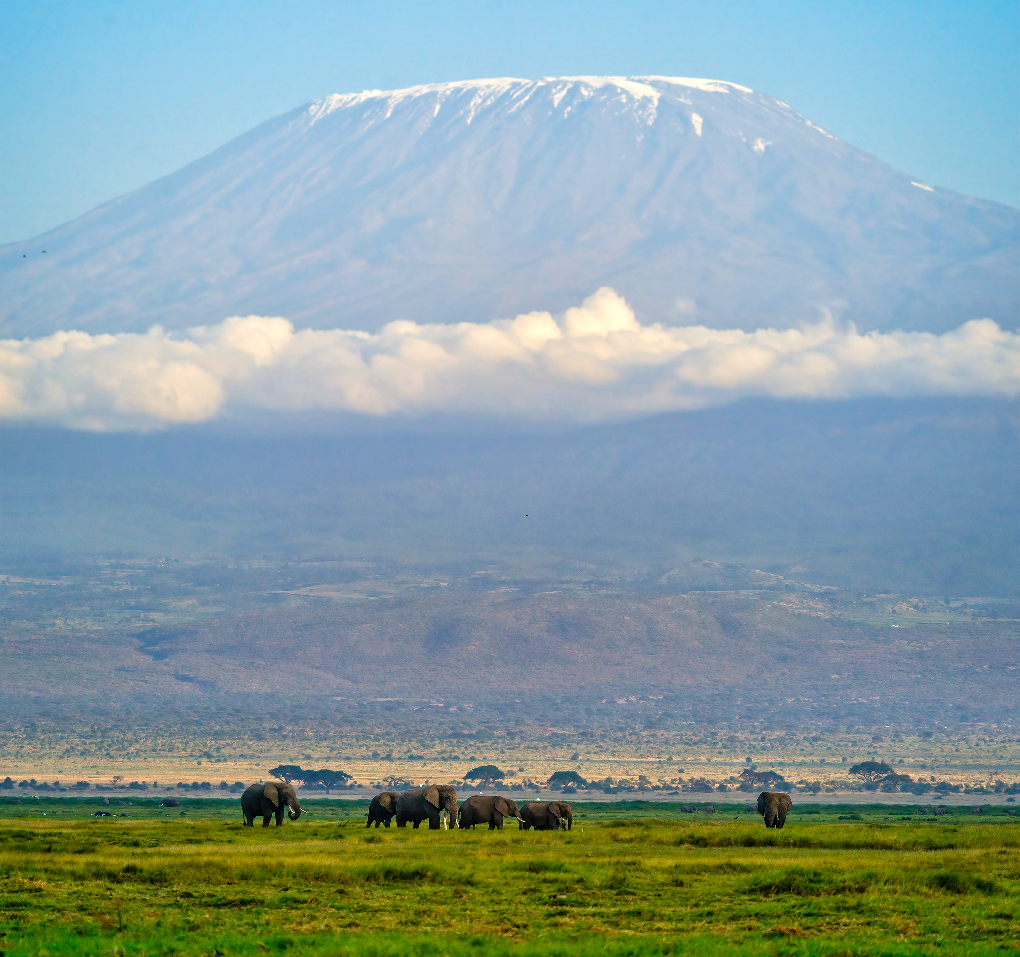Mount Kilimanjaro in Tanzania, viewed from Amboseli National Park, Kenya. /VCG