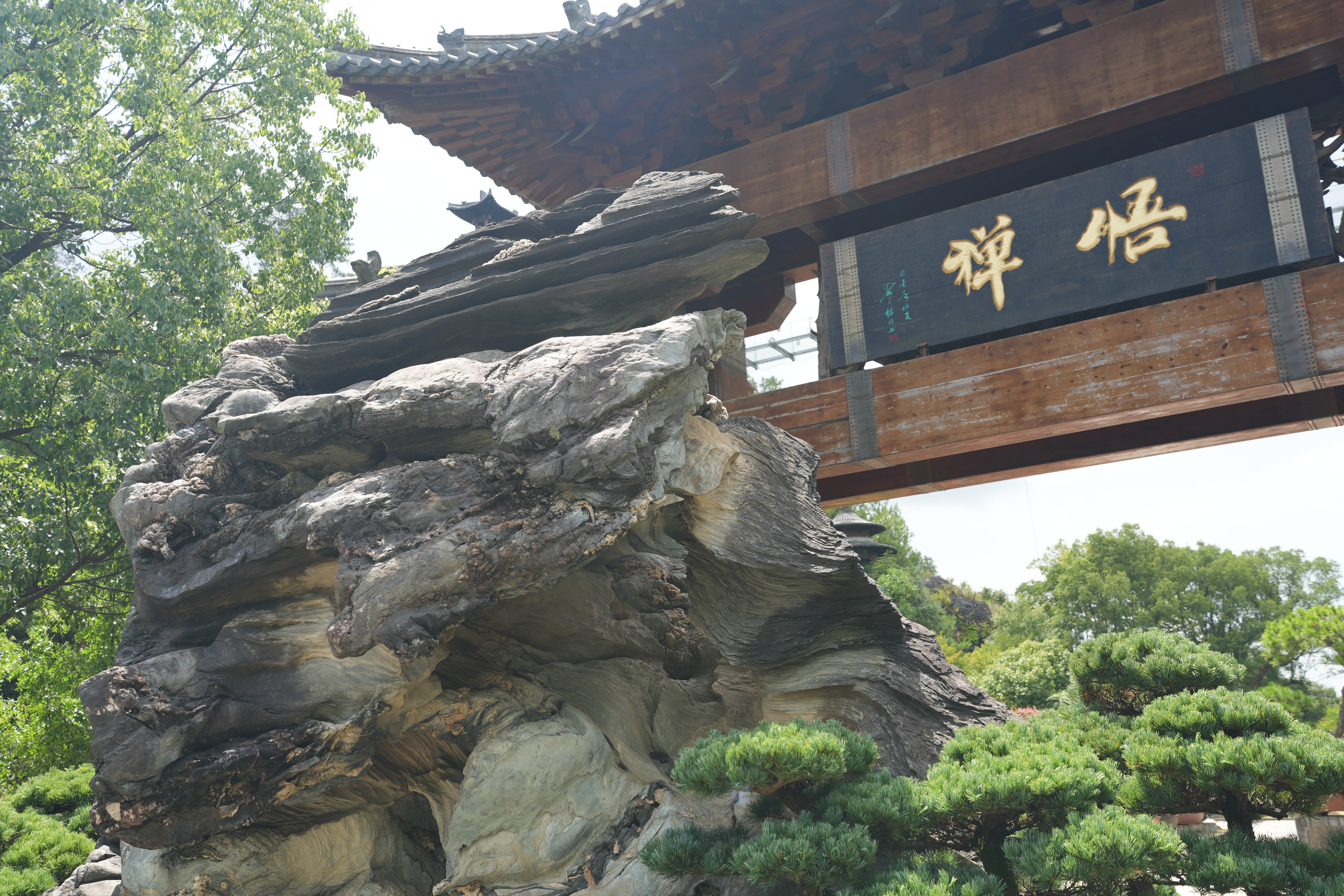 Zhejiang's root carving masters turn discarded roots into treasures