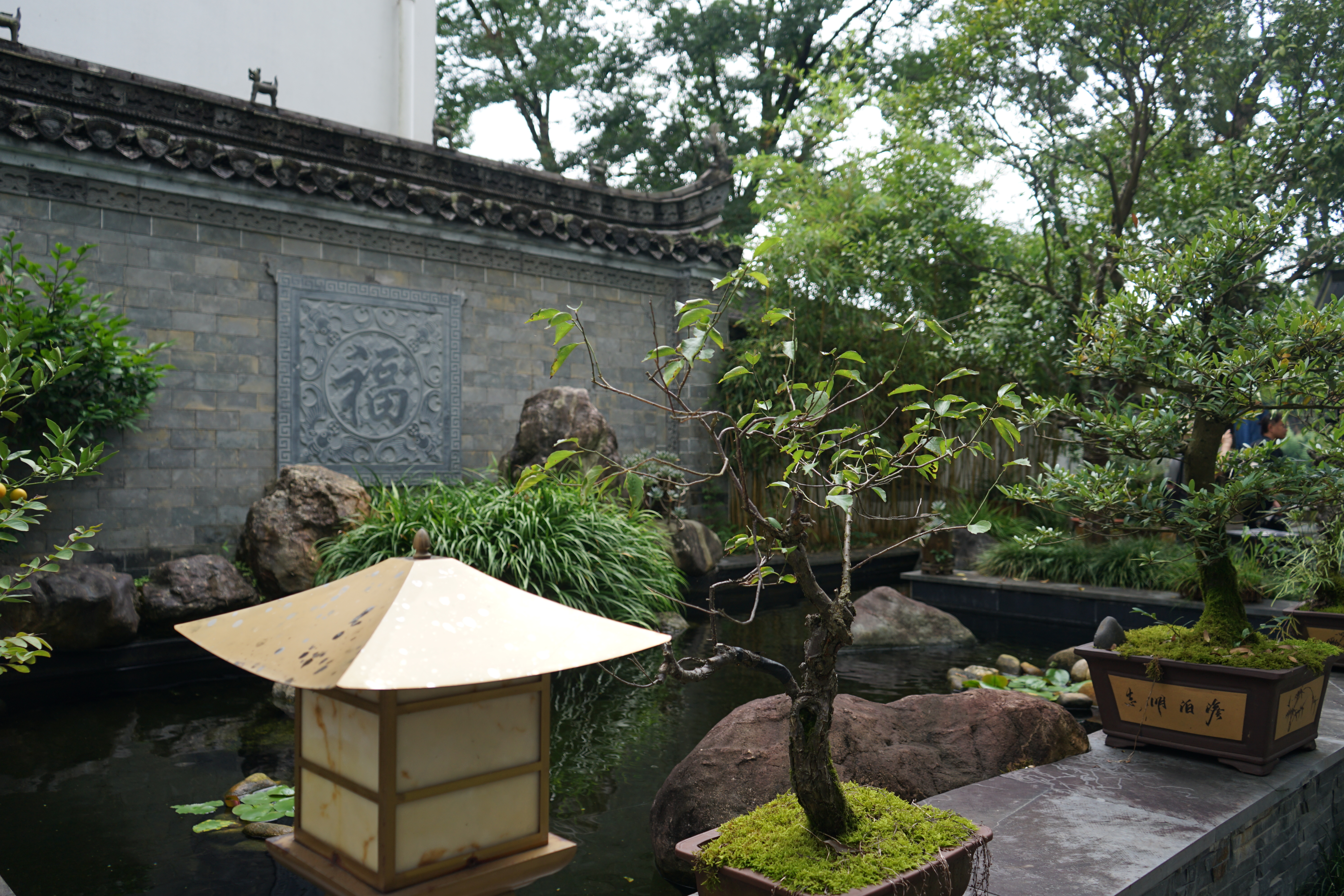 The rise of Jinxing Village