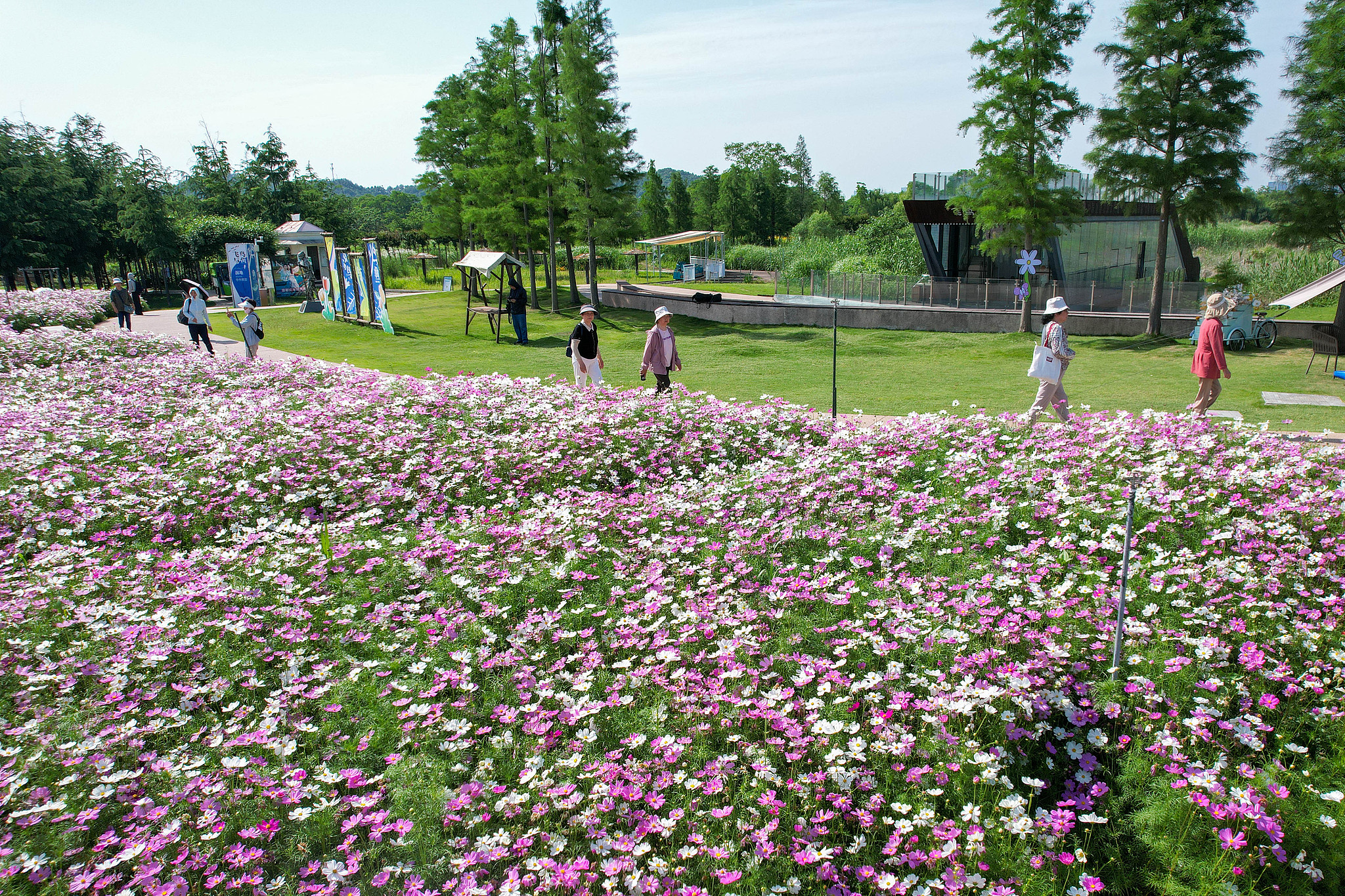 The wetland that unfolds like a painting