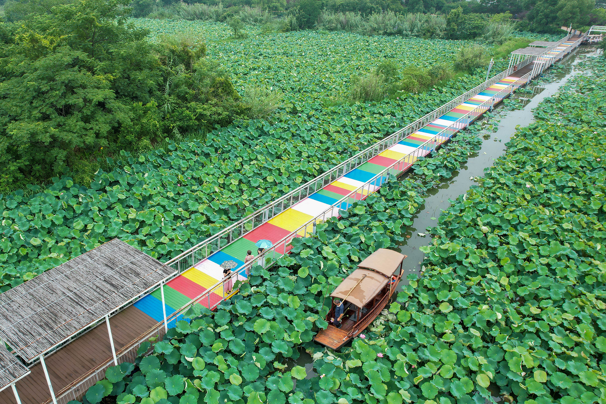 The wetland that unfolds like a painting