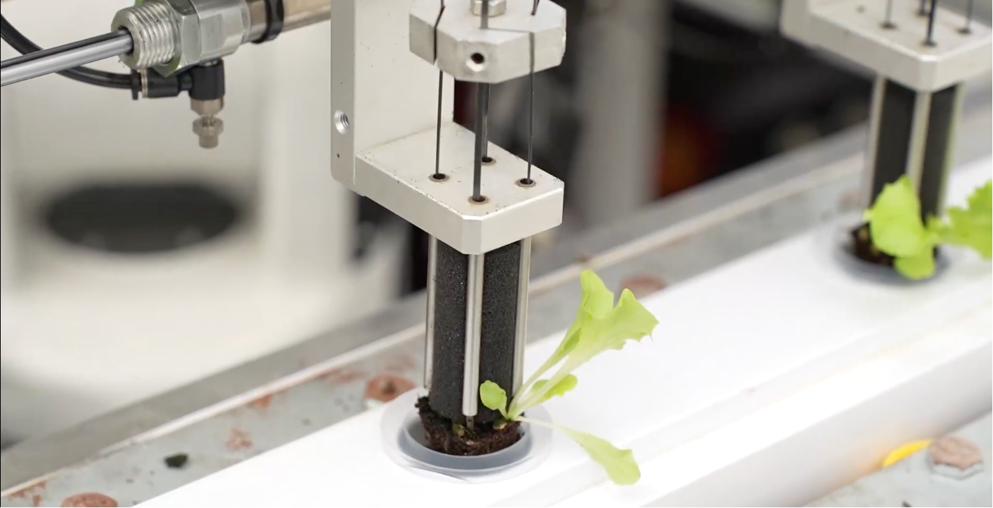 A look inside a high-tech smart farm in east China