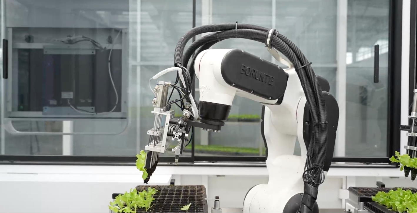 A look inside a high-tech smart farm in east China