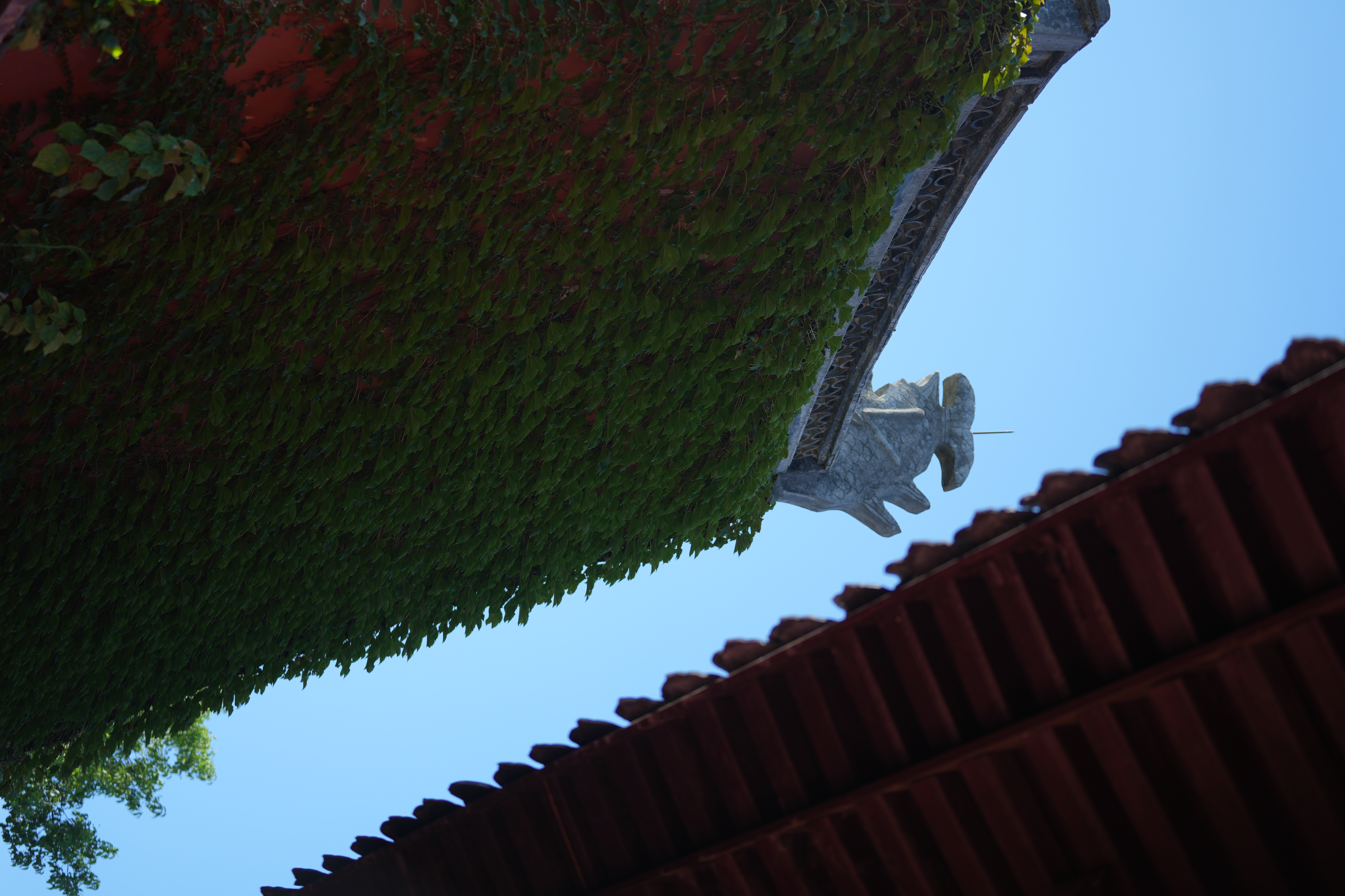 A view of Confucius Family Temple /CGTN