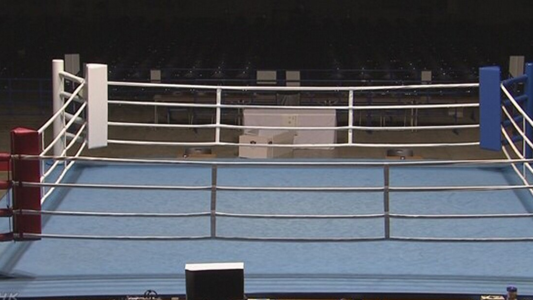 Two Japanese boxers die from brain injuries in separate bouts