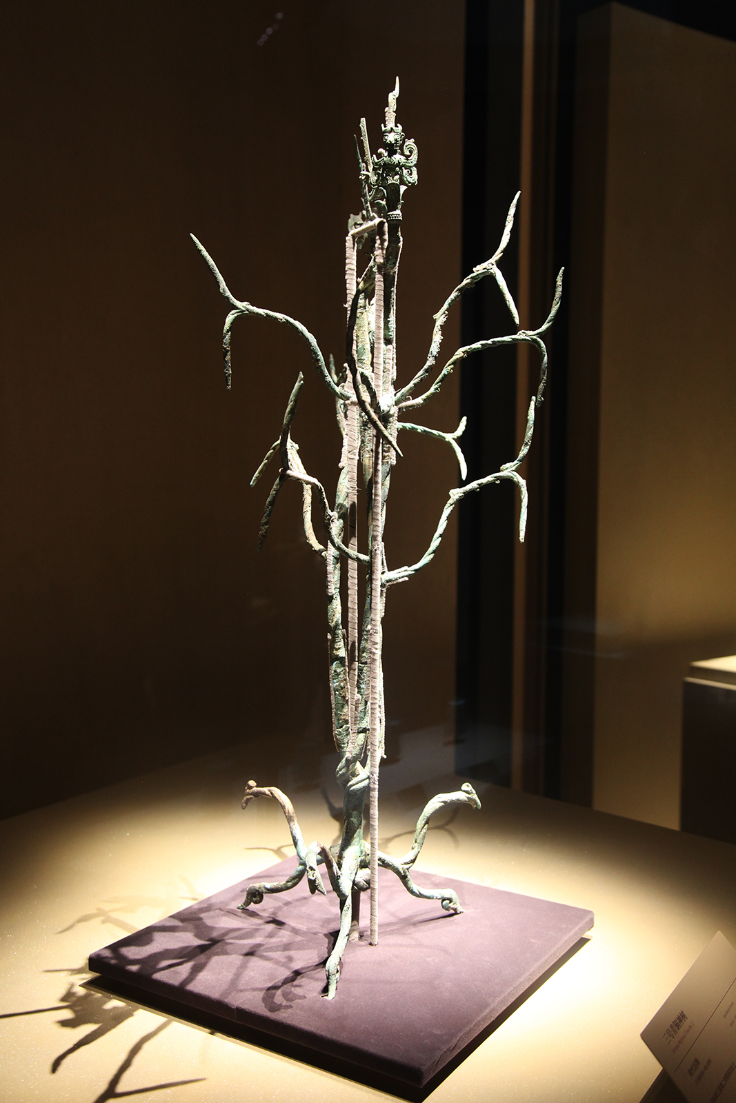 The No. 3 Sacred Tree is seen on display at the Sanxingdui Museum in Sichuan Province. /CGTN