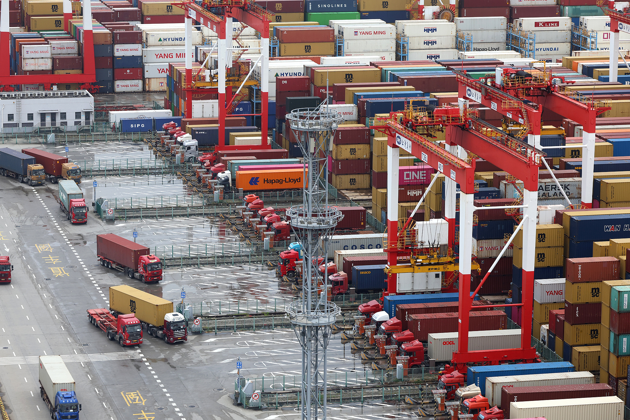 Logistics vehicles arrive at Yangshan Deepwater Port in Shanghai, China, July 18, 2025. /VCG