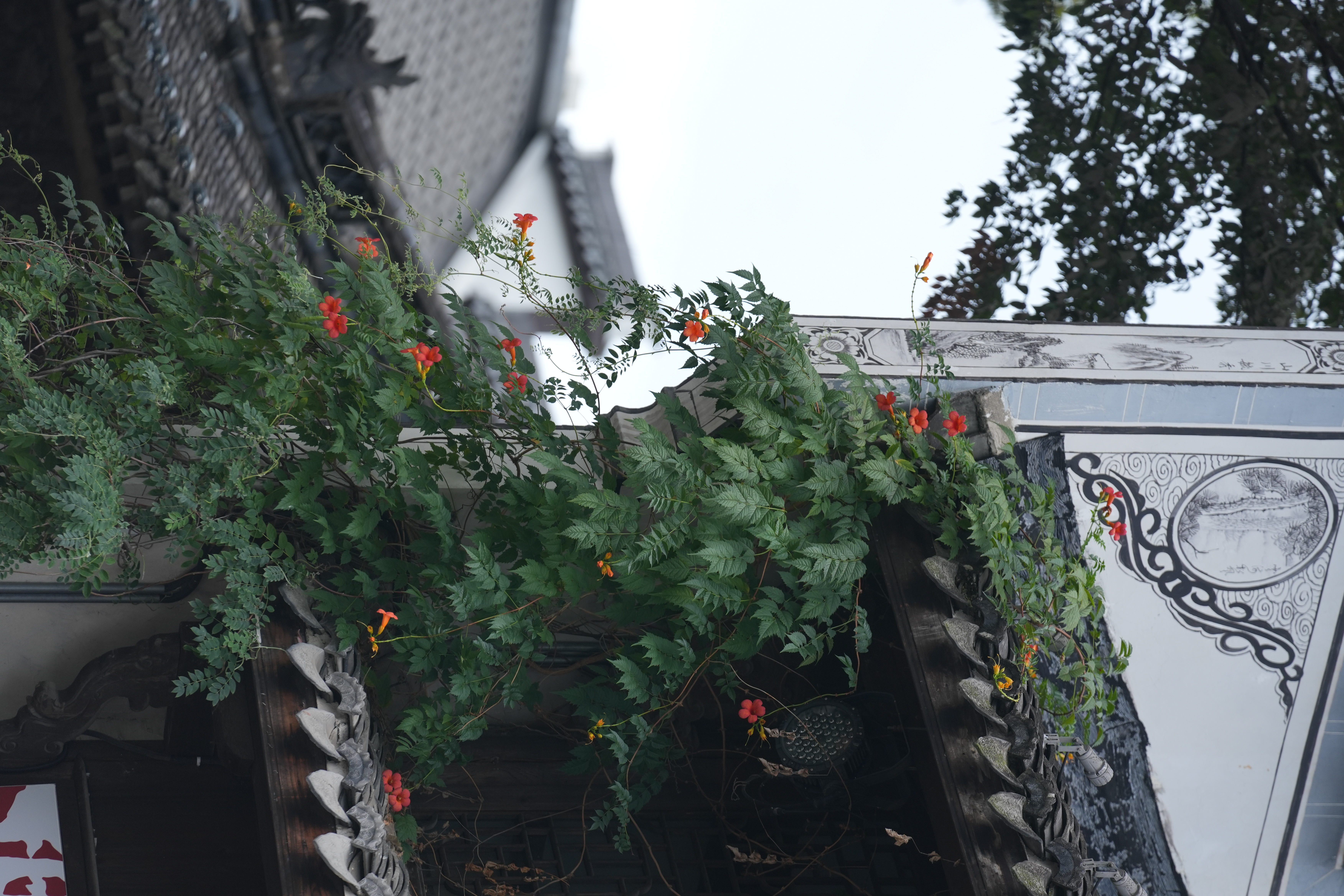 A view of Shuitingmen ancient town /CGTN