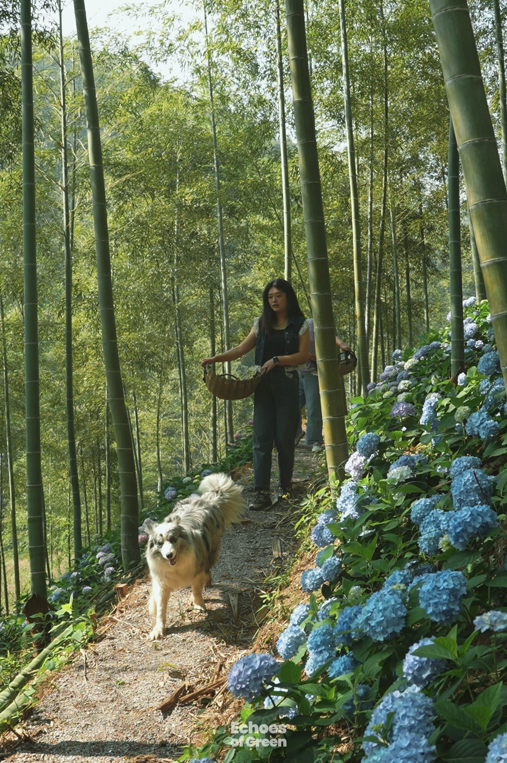 A woman works at her small rural farm in the bamboo-covered hills of Anji, Zhejiang Province, in southeast China. /CGTN
