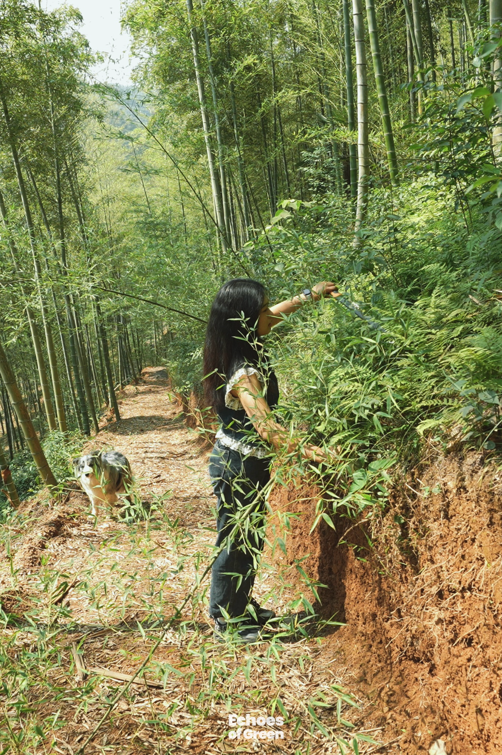 A woman works at her small rural farm in the bamboo-covered hills of Anji, Zhejiang Province, in southeast China. /CGTN