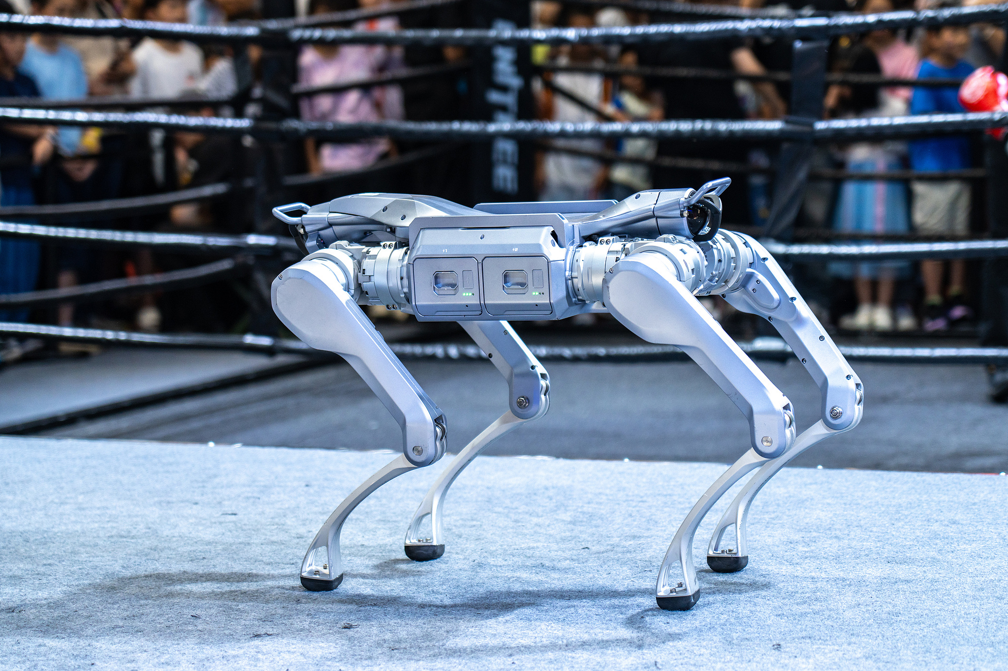 A robot dog from Hangzhou Yushu Technology Co Ltd demonstrates application of high-tech artificial intelligence technology at the Beijing World Robot Conference, August 12, 2025. / VCG