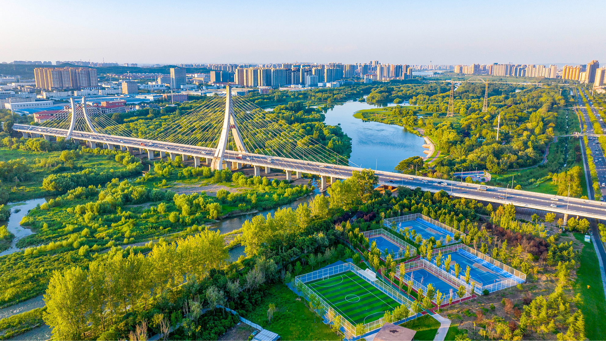 WWF executive: China's green development sends important message