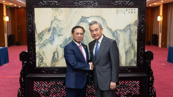 Chinese FM meets Vietnam's deputy PM