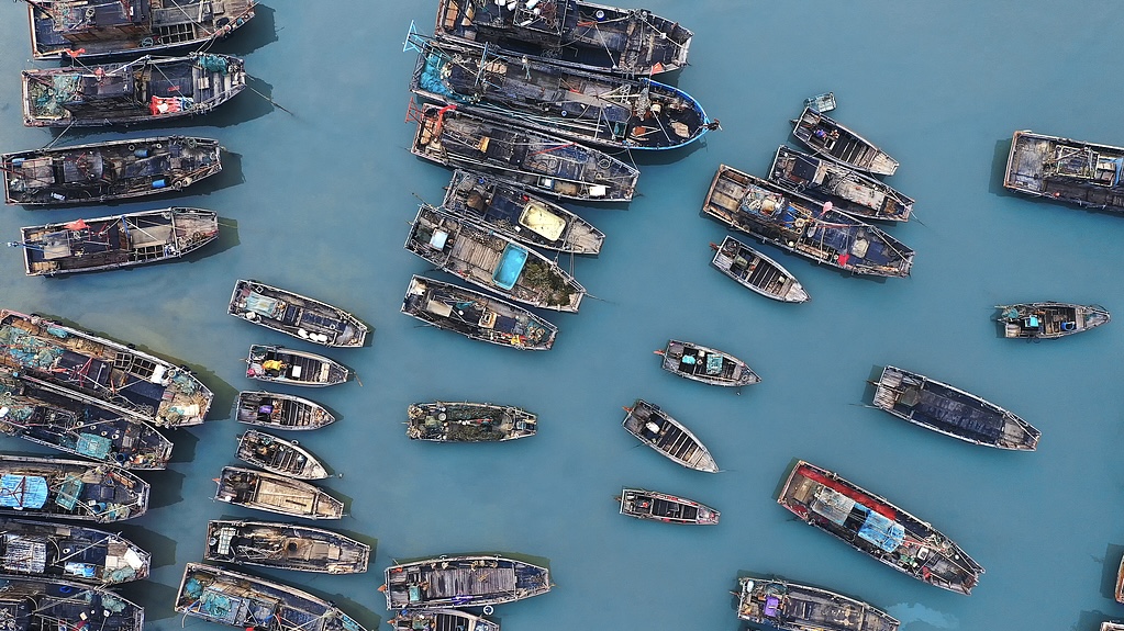 Live: China's fishing season starts! Thousands of boats head for 'fresh' catch