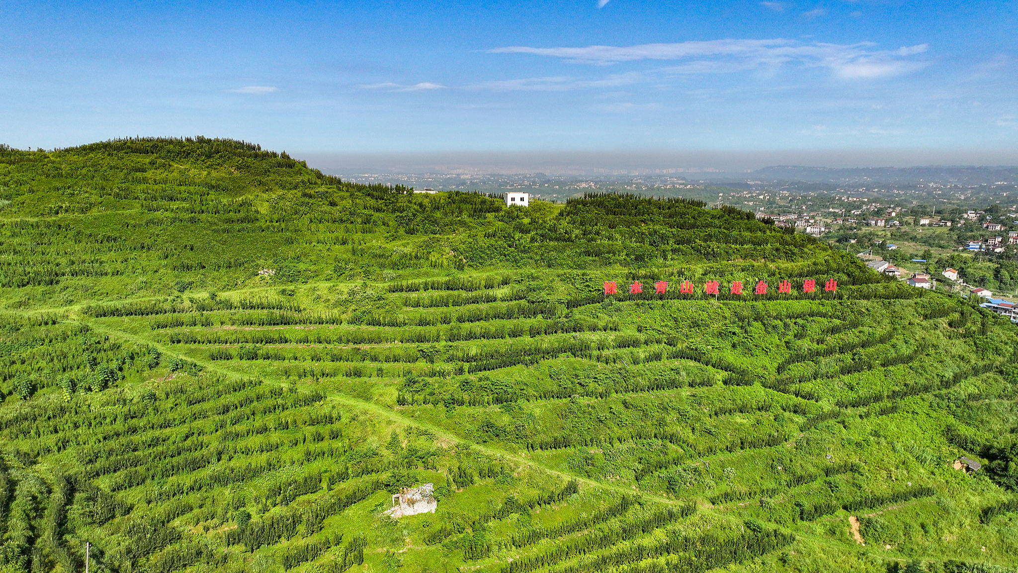 A view of a modern agricultural park in Guang'an City, southwest China's Sichuan Province, August 14, 2025. /VCG