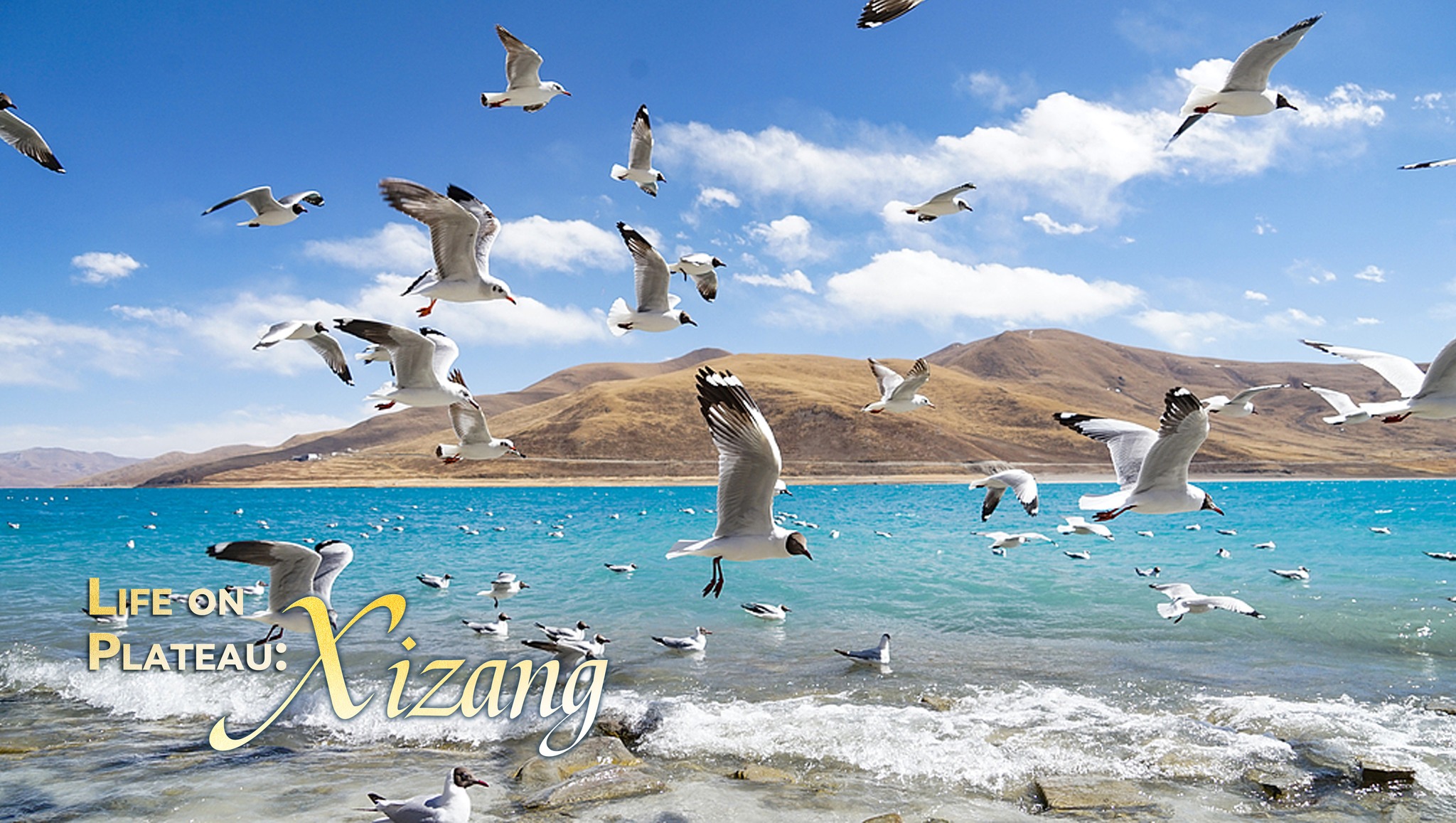 Life on Plateau: An overview of Xizang 