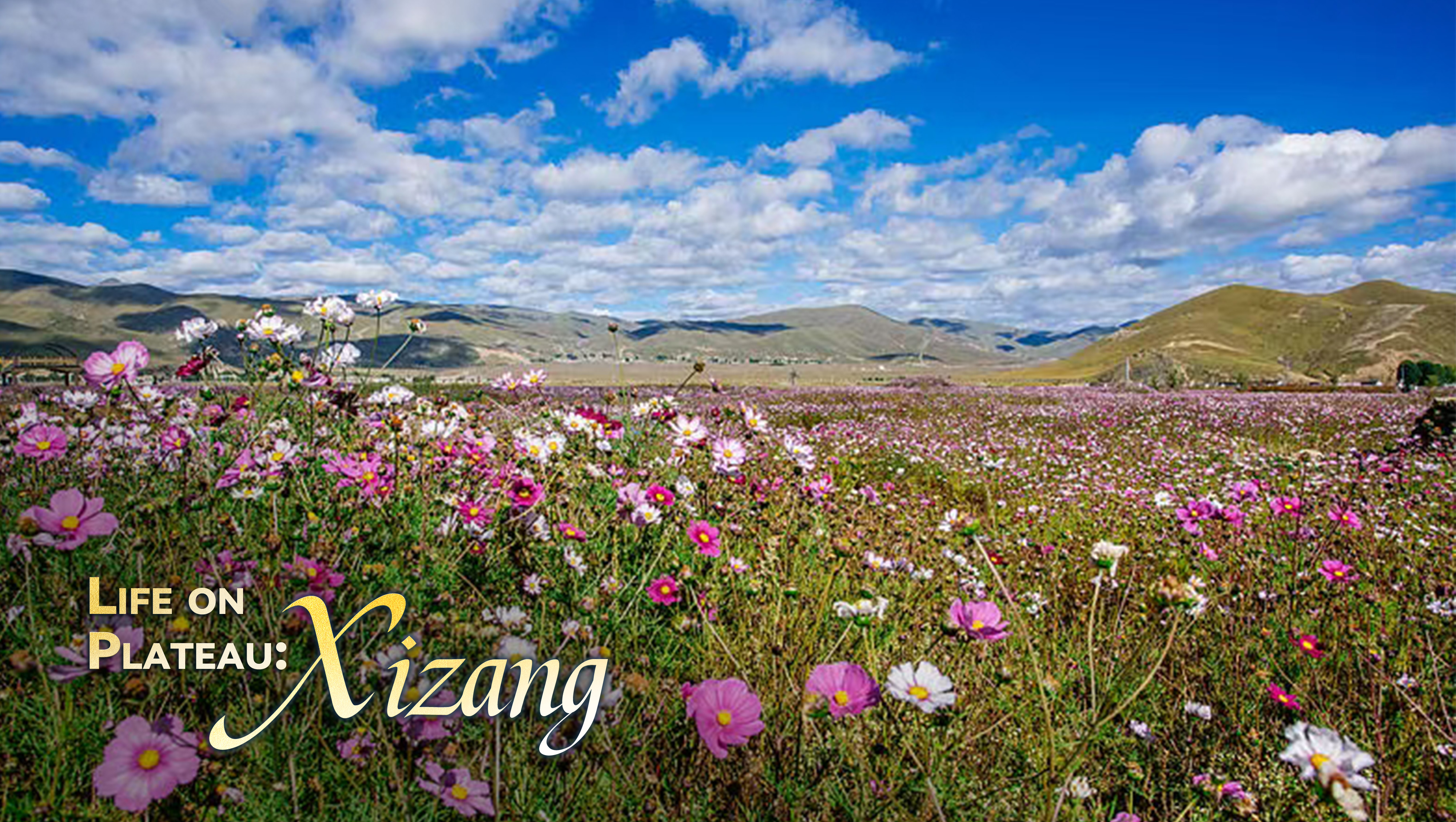 Life on Plateau: An overview of Xizang 