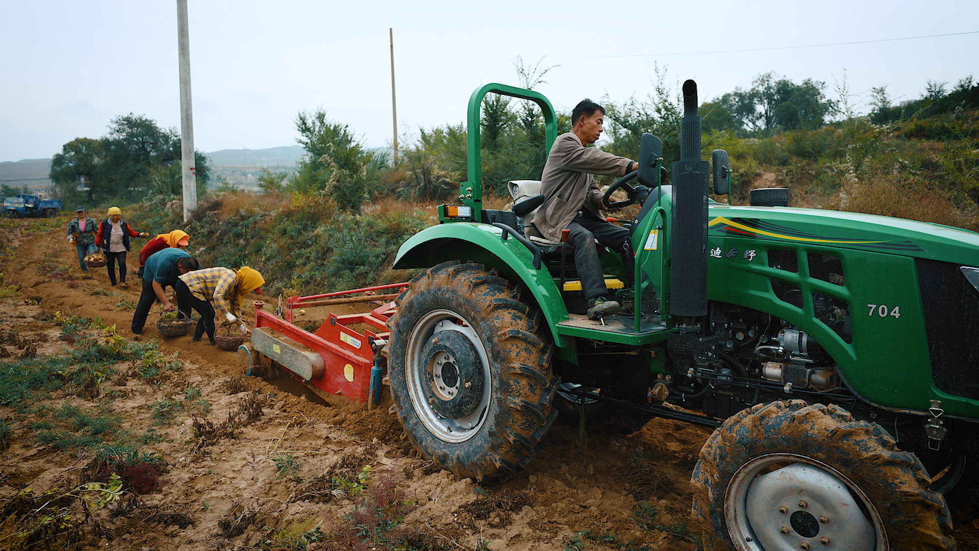 Guo Shuaisheng and his fellow villagers harvest potatoes. /CGTN