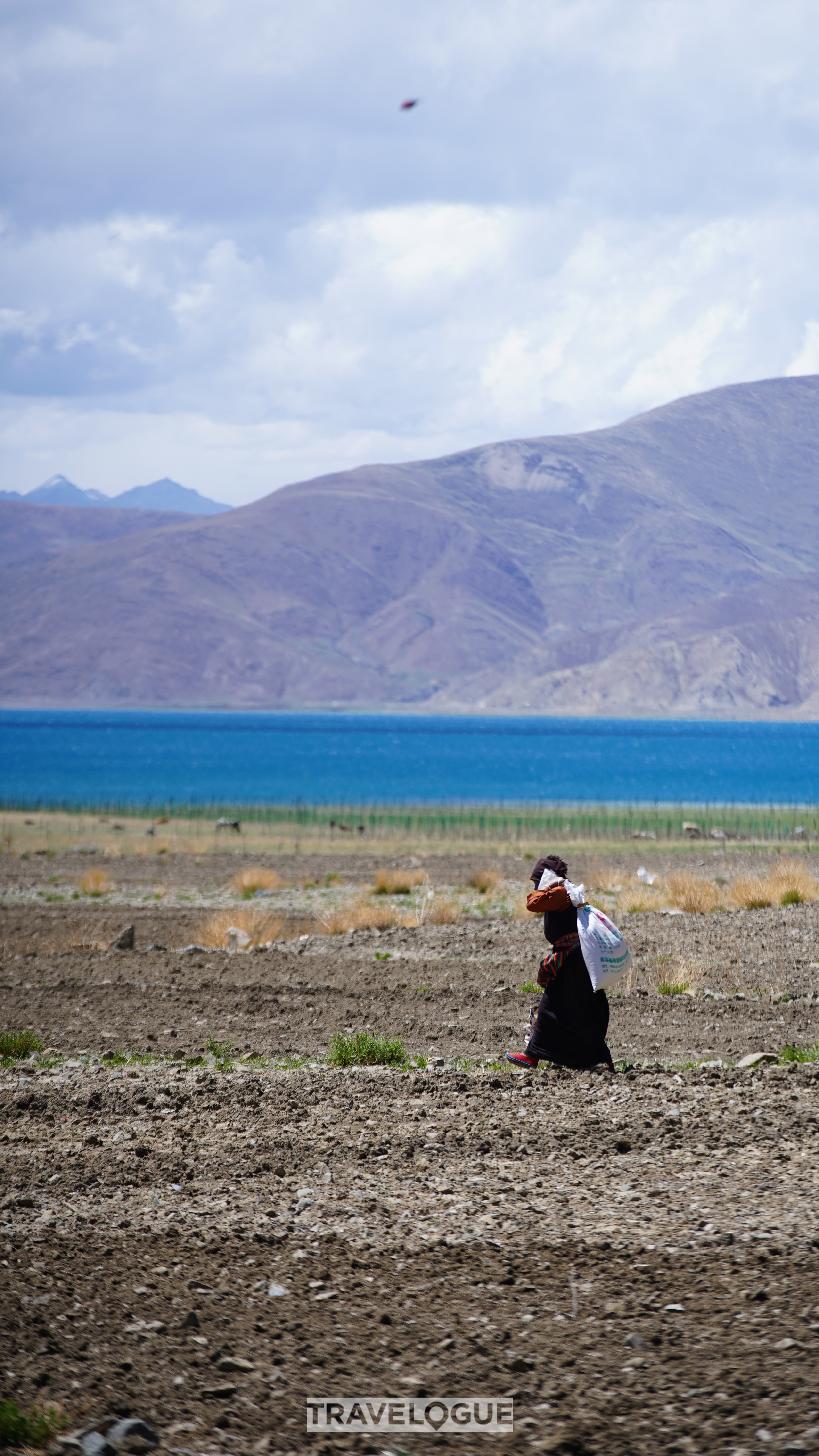 People farm at Yamzhog Yumco Lake, Xizang. /CGTN