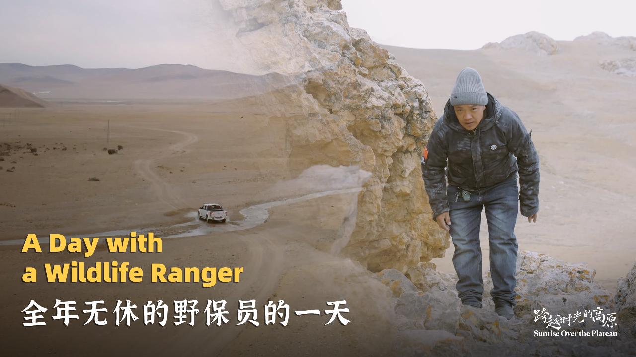 Wildling Ranger A Day with a Wildlife Ranger - CGTN