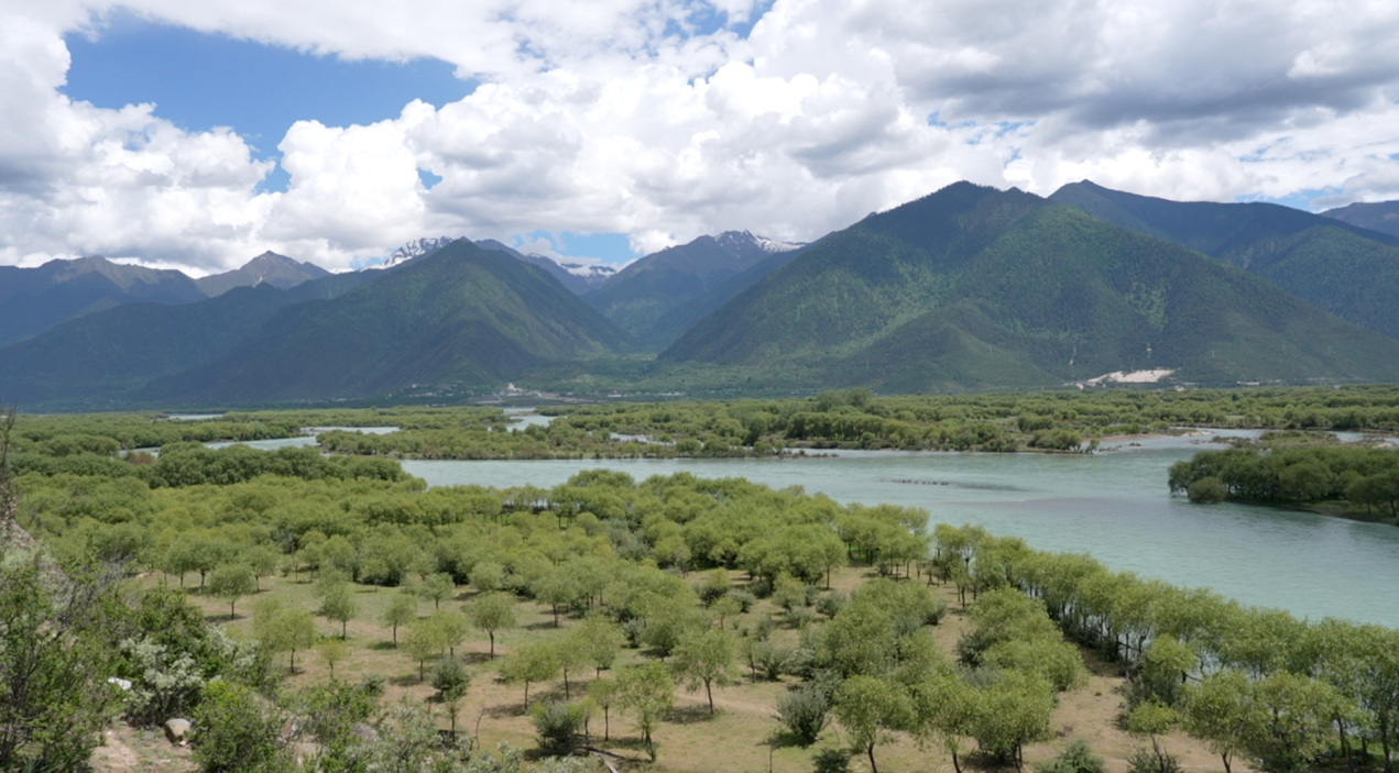 Yani National Wetland Park. /CGTN