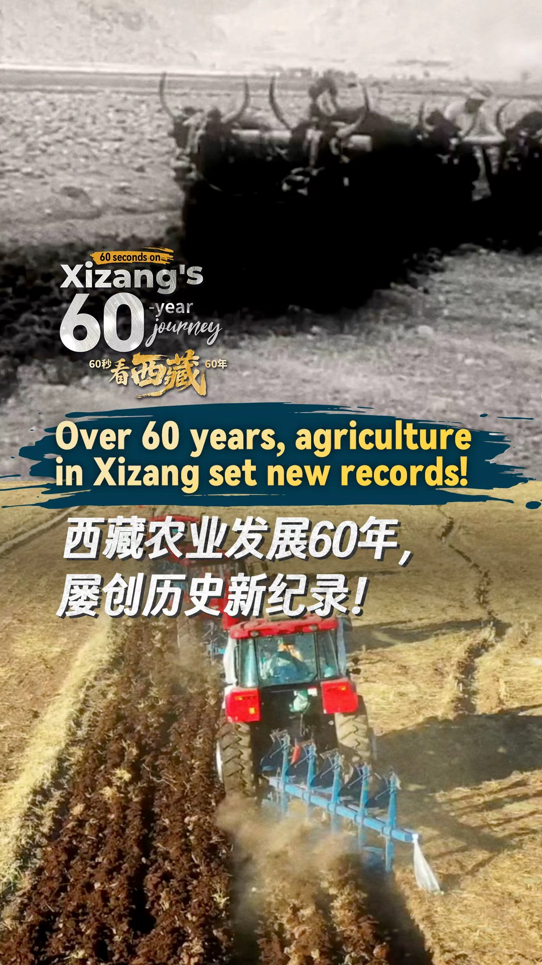 In Pics: Xizang's 60-year journey of transformation