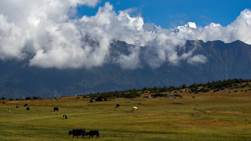 Live: A mesmerizing scene of Nai village in China's Xizang – EP. 2