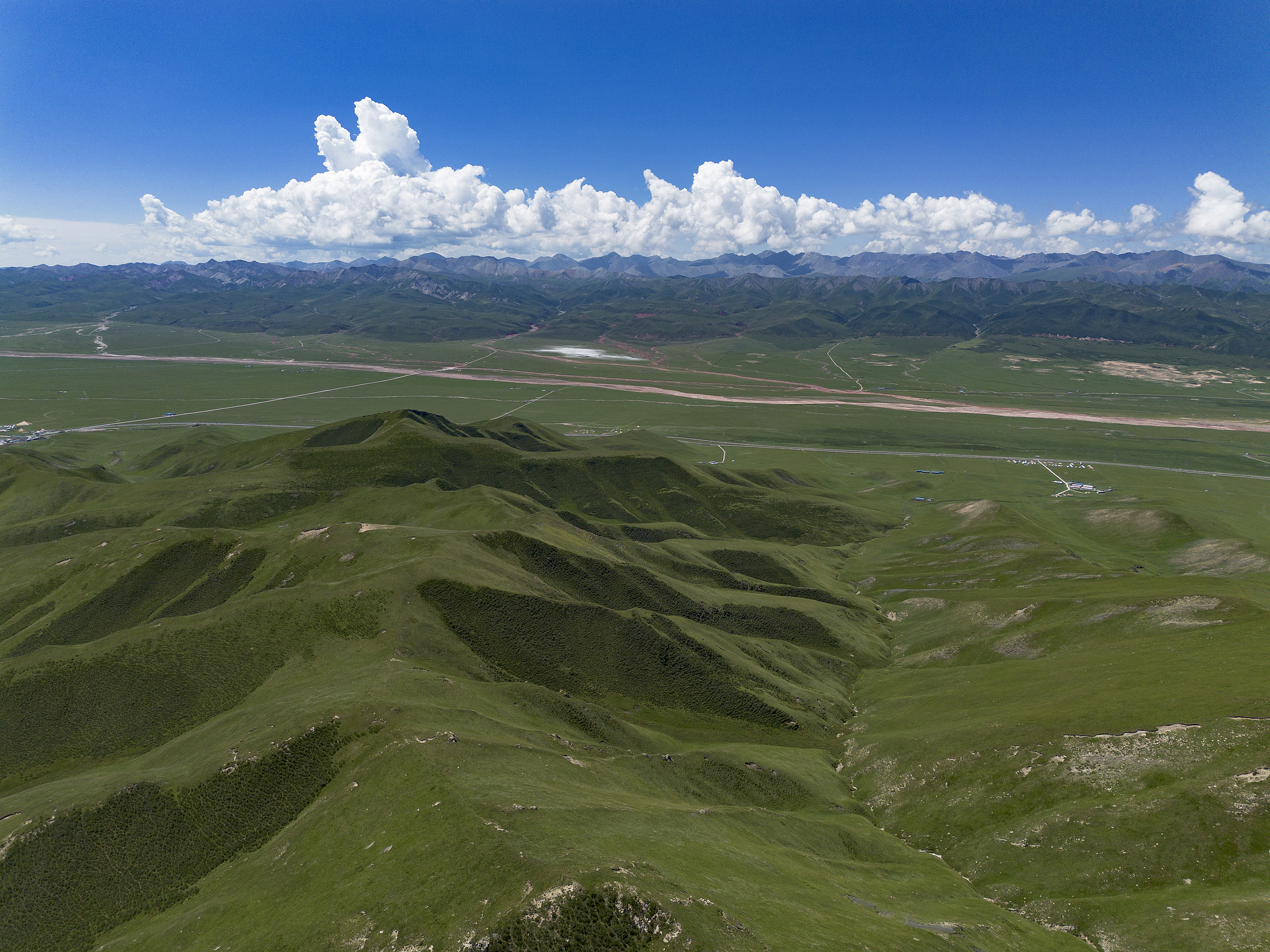 Grasslands in the Qilian Mountains in Haibei Zang Autonomous Prefecture, Qinghai Province, northwest China, July 28, 2025. /VCG