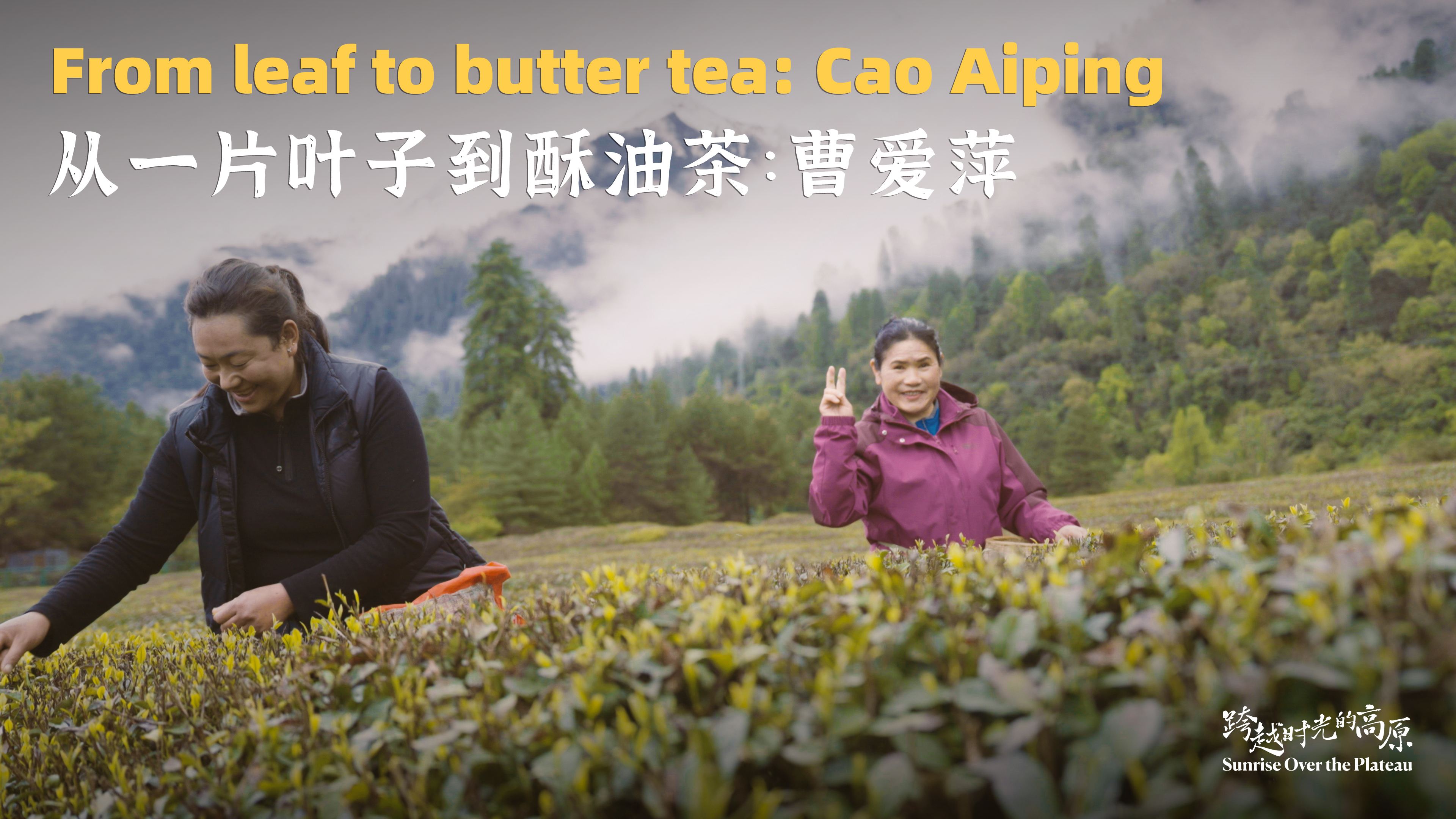 From leaf to butter tea: Cao Aiping