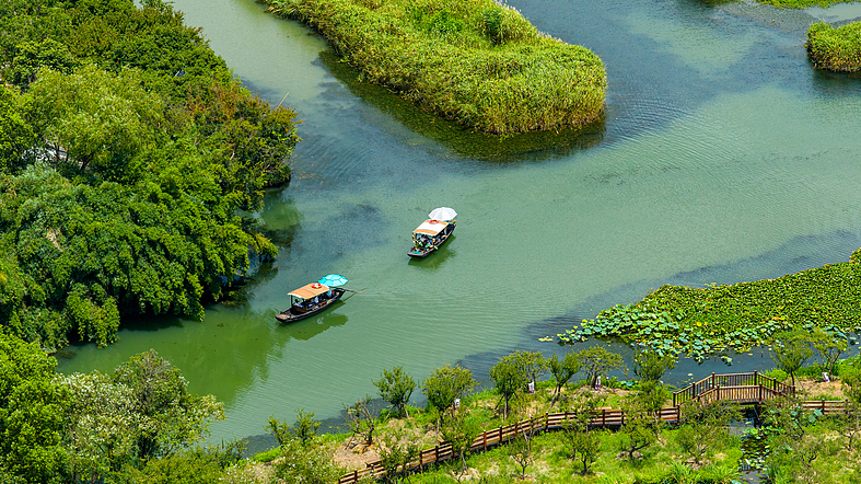 Live: Experience serenity in Xixi National Wetland Park