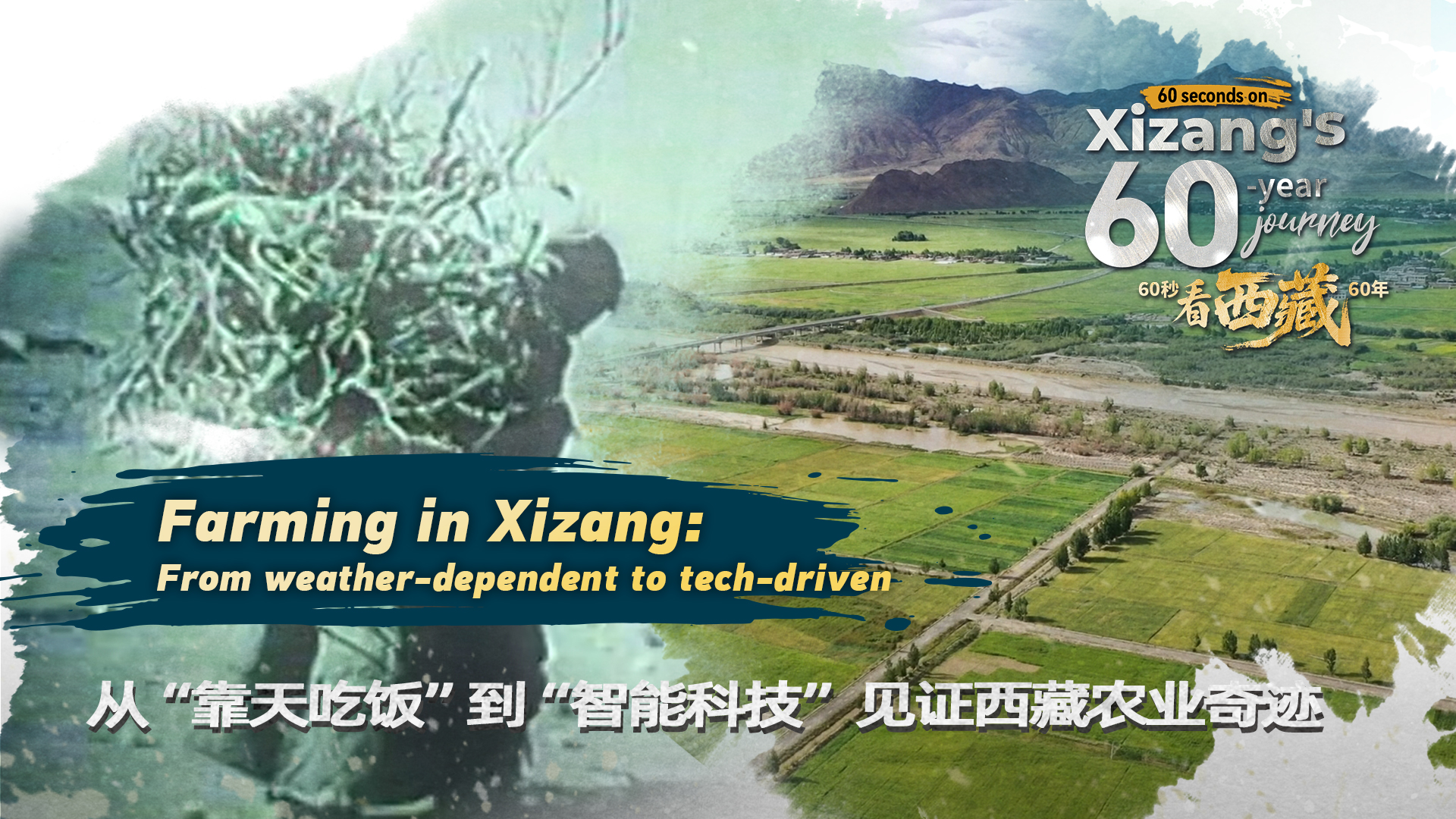 Smart technology transforms agriculture in Xizang