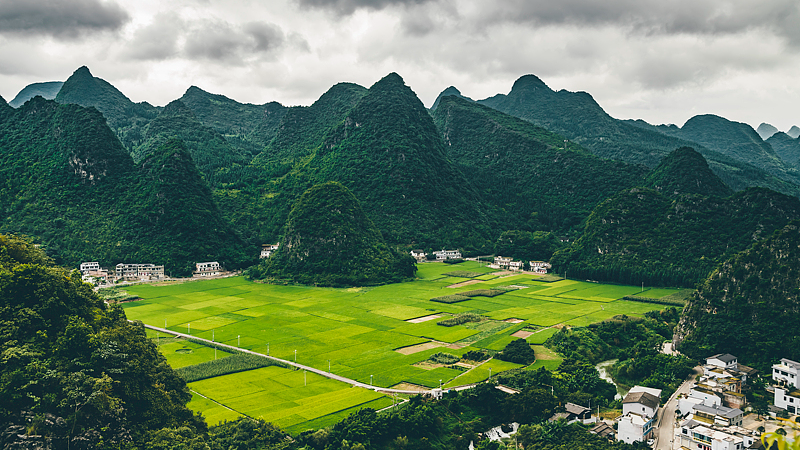 Live: Wanfenglin Scenic Area – A peerless karst forest in southwest China