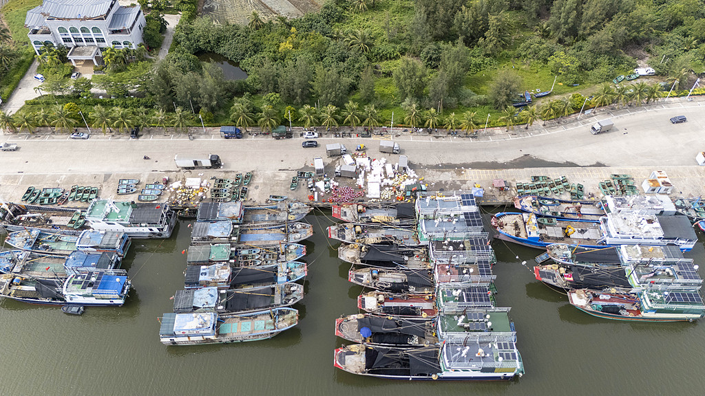 A large number of fishing boats return to port to shelter from the wind at Tanmen Port in Qionghai City, south China's Hainan Province, August 23, 2025. /VCG