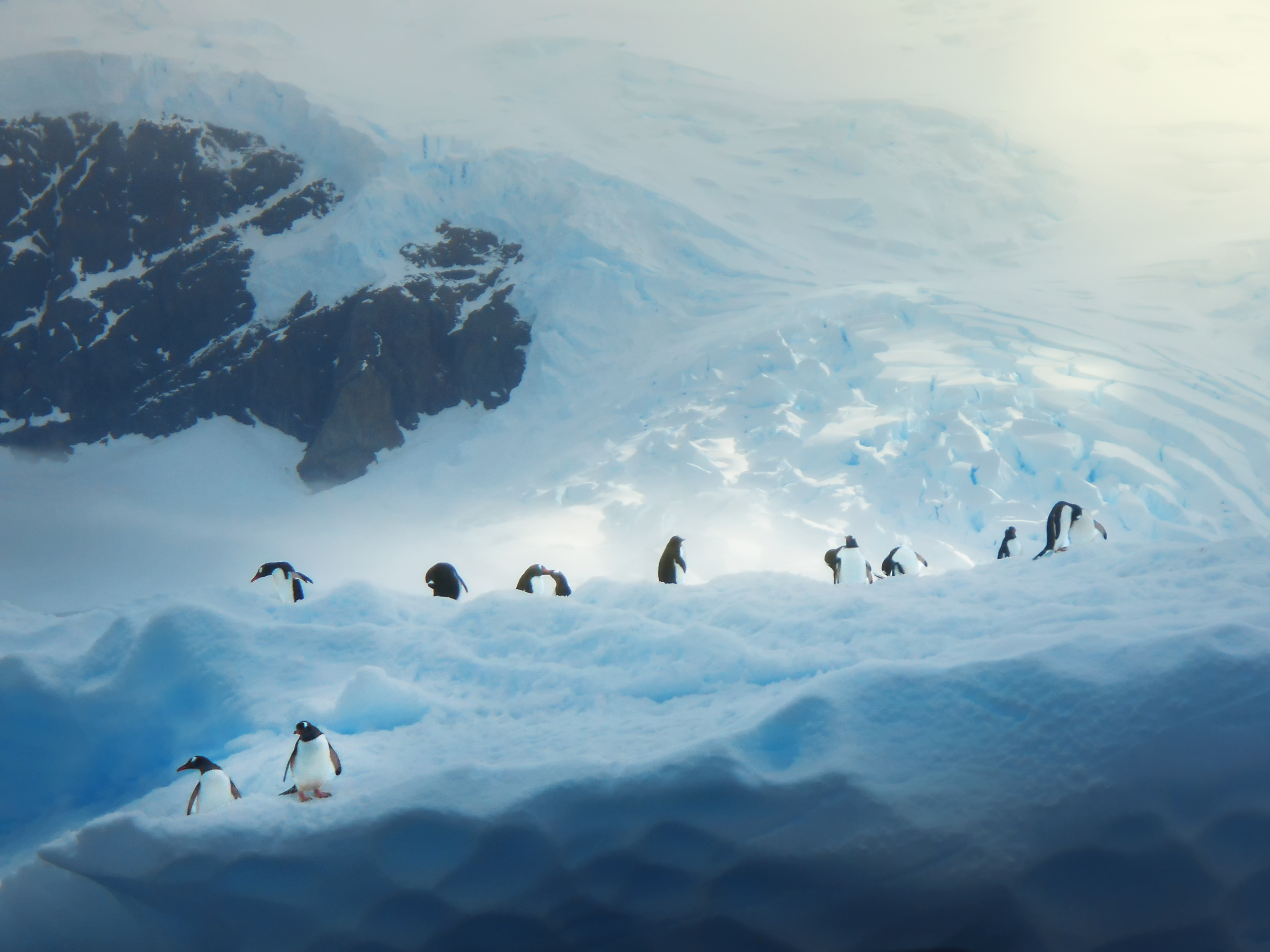 A Flock of Penguins on the Iceberg: On the Antarctic glaciers, a group of penguins struggles forward in the cold wind. Although they are small, they symbolize the tenacity of life. The moment when the camera captures their image, freezing them in motion, reminds us that global warming is accelerating the melting of glaciers, threatening the biodiversity of the Earth and the common future of humanity. Addressing the climate crisis is an important task of the United Nations Sustainable Development Goals and also a shared responsibility advocated by China's ecological civilization thought. Only by countries working together, upholding equality, mutual learning and cooperation, can we protect all living things, including penguins, and build a clean and beautiful home for the Earth. /Liu Peixuan
