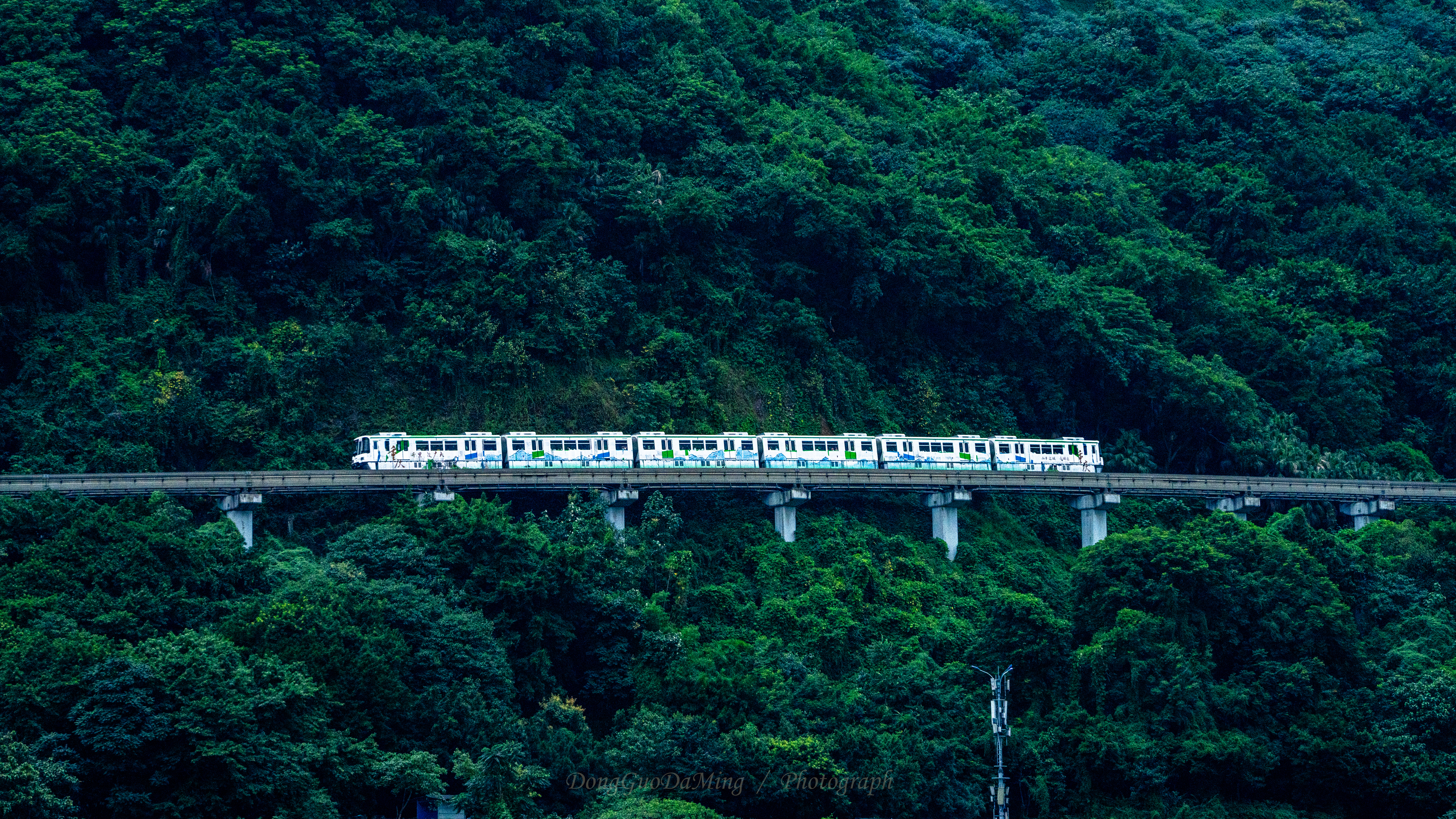 Chongqing Monorail: The Chongqing Rail Line 2 shuttles through the mountains and forests, which is an achievement of industrial innovation. It breaks through topographical limitations with the power of science and technology. The power of science and technology coexists harmoniously with the natural ecology. At the same time, it constructs a convenient urban transportation network, enabling different groups to share the benefits of travel. In the process of protecting the terrestrial ecology and balancing urban development and the natural environment, it also echoes the concept of sustainable development – making innovation and convenience go hand in hand, conveying the warmth of social fairness, and writing a dynamic chapter in the urban development of Chongqing, China. /Qi Shi