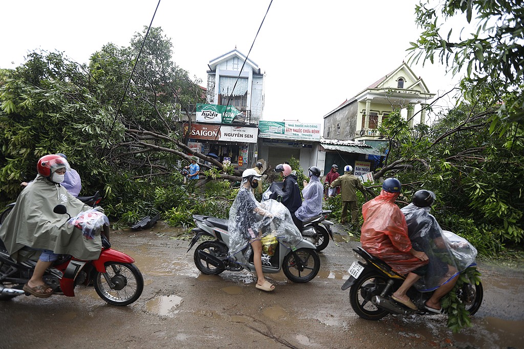 Motorists ride past a fallen tree on a street in Vinh City, Nghe An Province, Vietnam, August 26, 2025. /CFP
