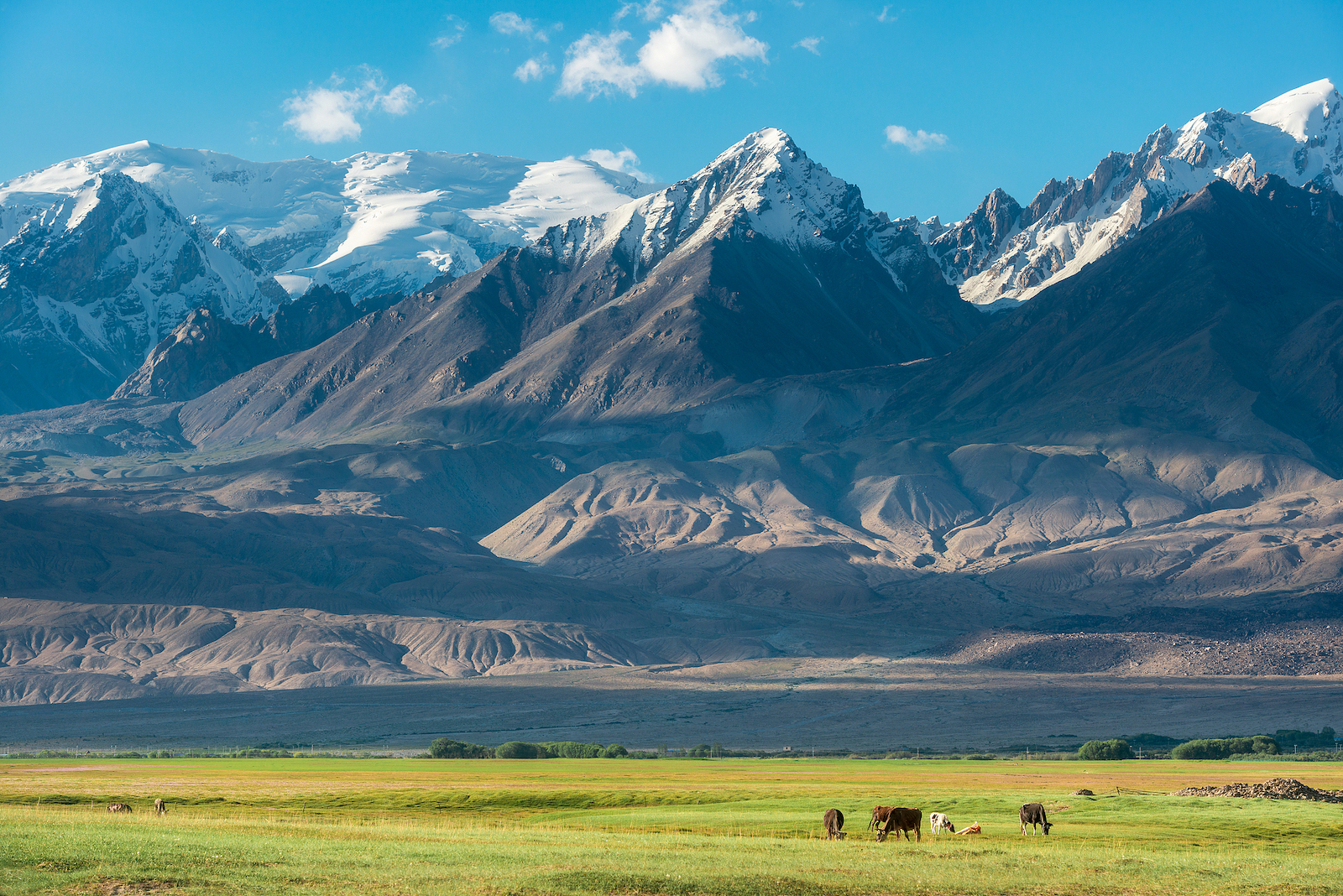 Una vista de la meseta de Pamir, región autónoma de Xinjiang Uygur, noroeste de China. /VCG