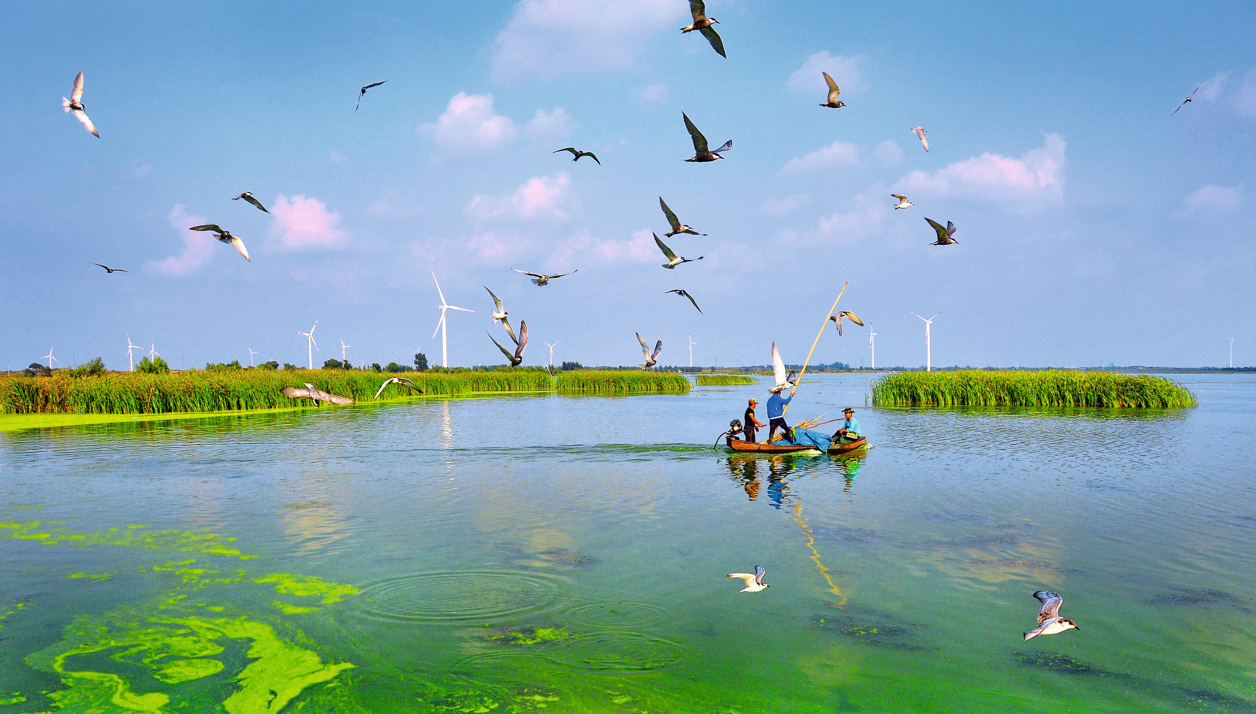 Las aves migran sobre el lago, Banner de Kezuohou en la ciudad de Tongliao, región autónoma de Mongolia Interior. /CGTN