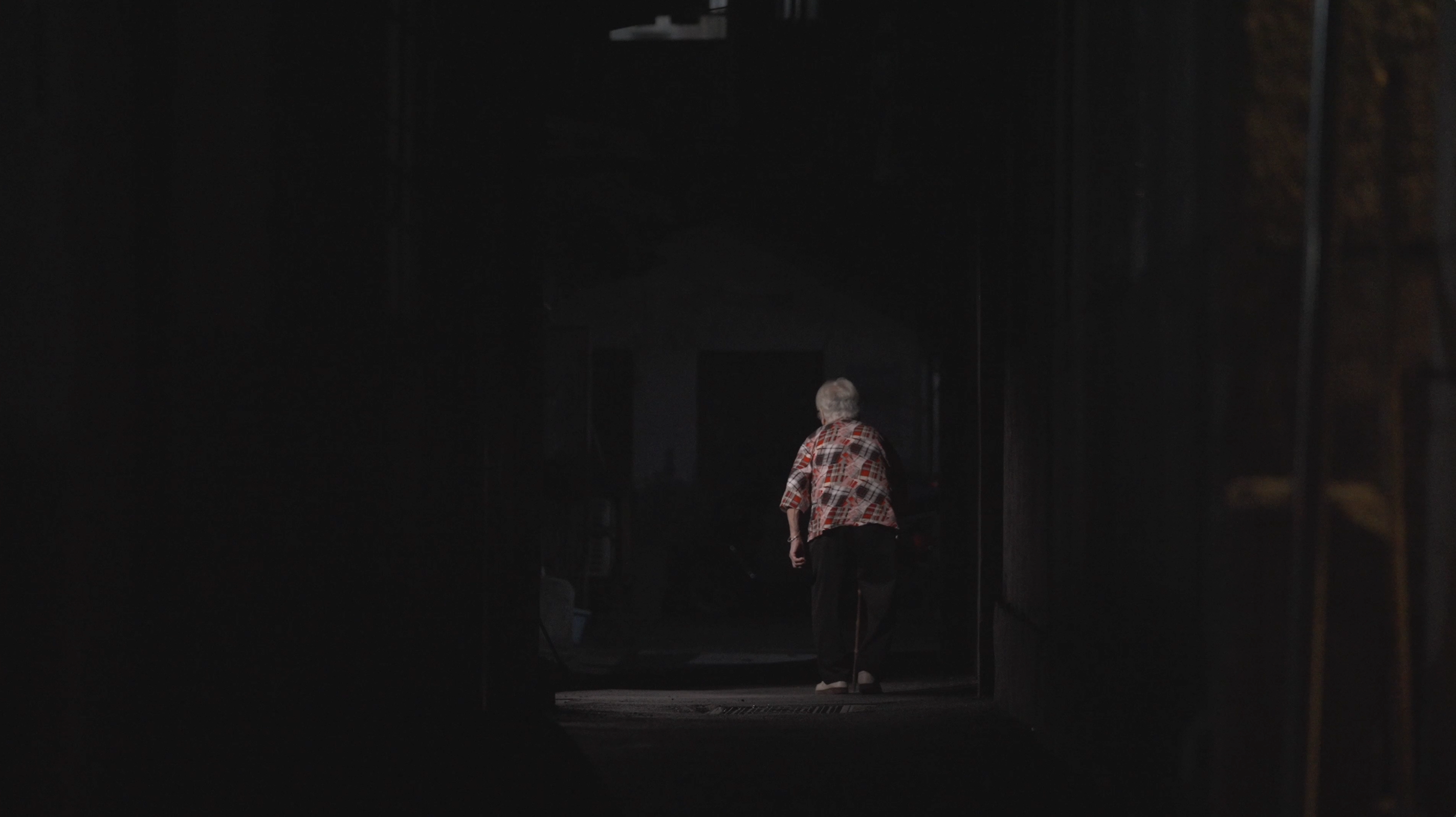 Screenshot from Last Daughters. /CGTN