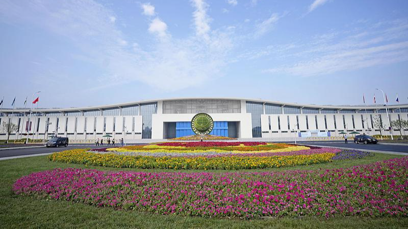 Live: Special coverage of 'SCO Plus' Meeting starts in Tianjin, China