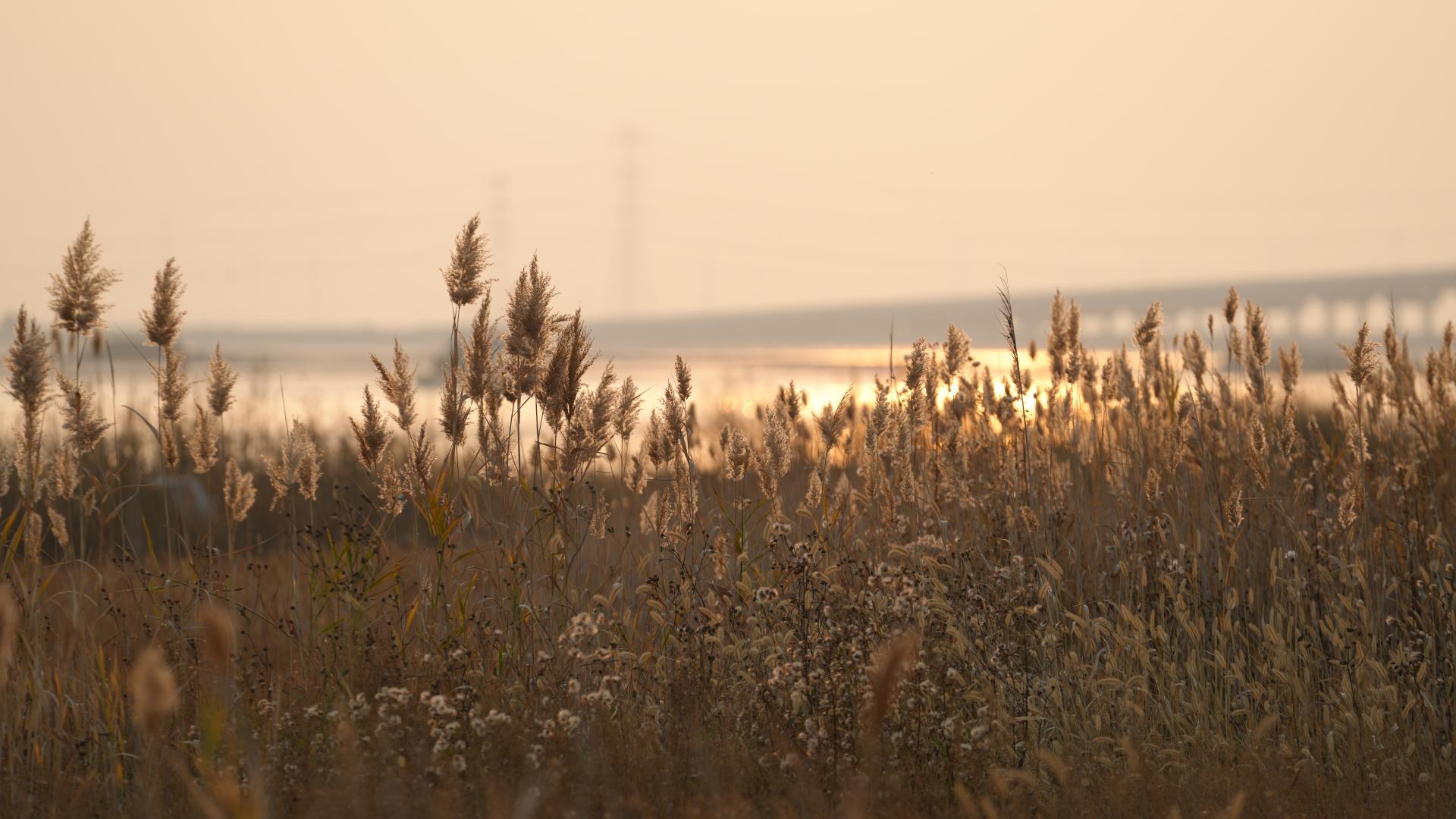 Bajiquan, a popular martial art
