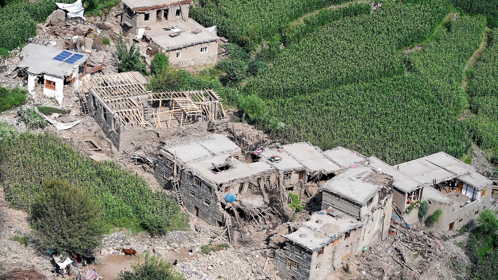 Afghan quake death toll rises to 1,411