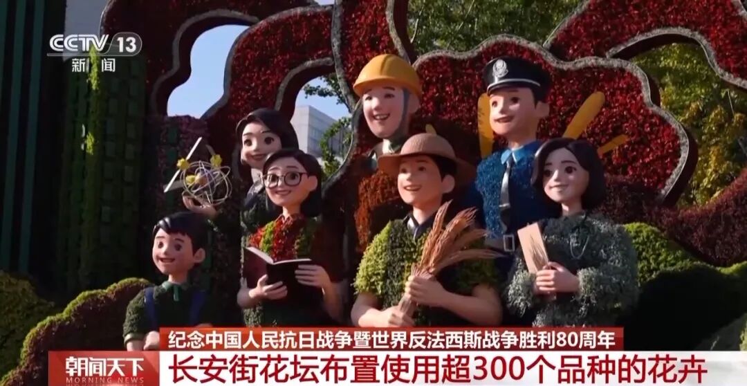 In total, more than 300 varieties of flowers are used for the flowerbeds along Chang'an Avenue, including over 100 new or native species. Forty newly bred varieties with independent intellectual property rights make their debut.