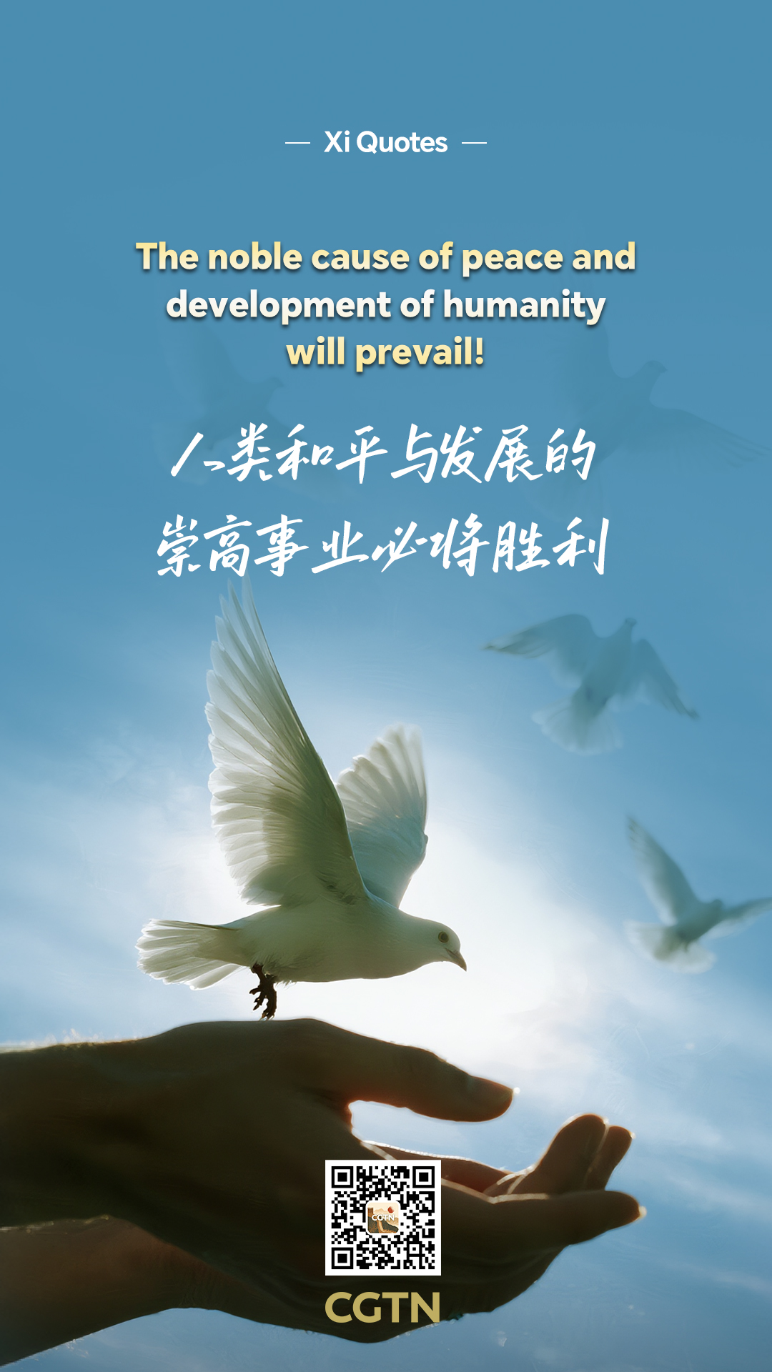 Xi Jinping's key quotes at V-Day commemoration 