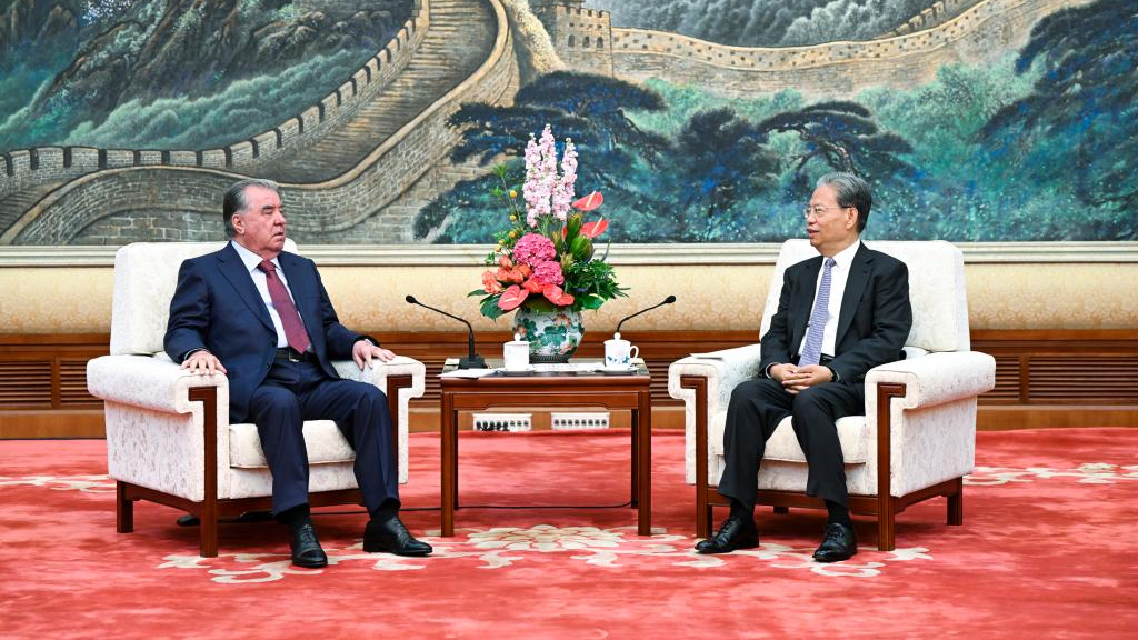Senior Chinese leaders meet visiting foreign leaders in Beijing