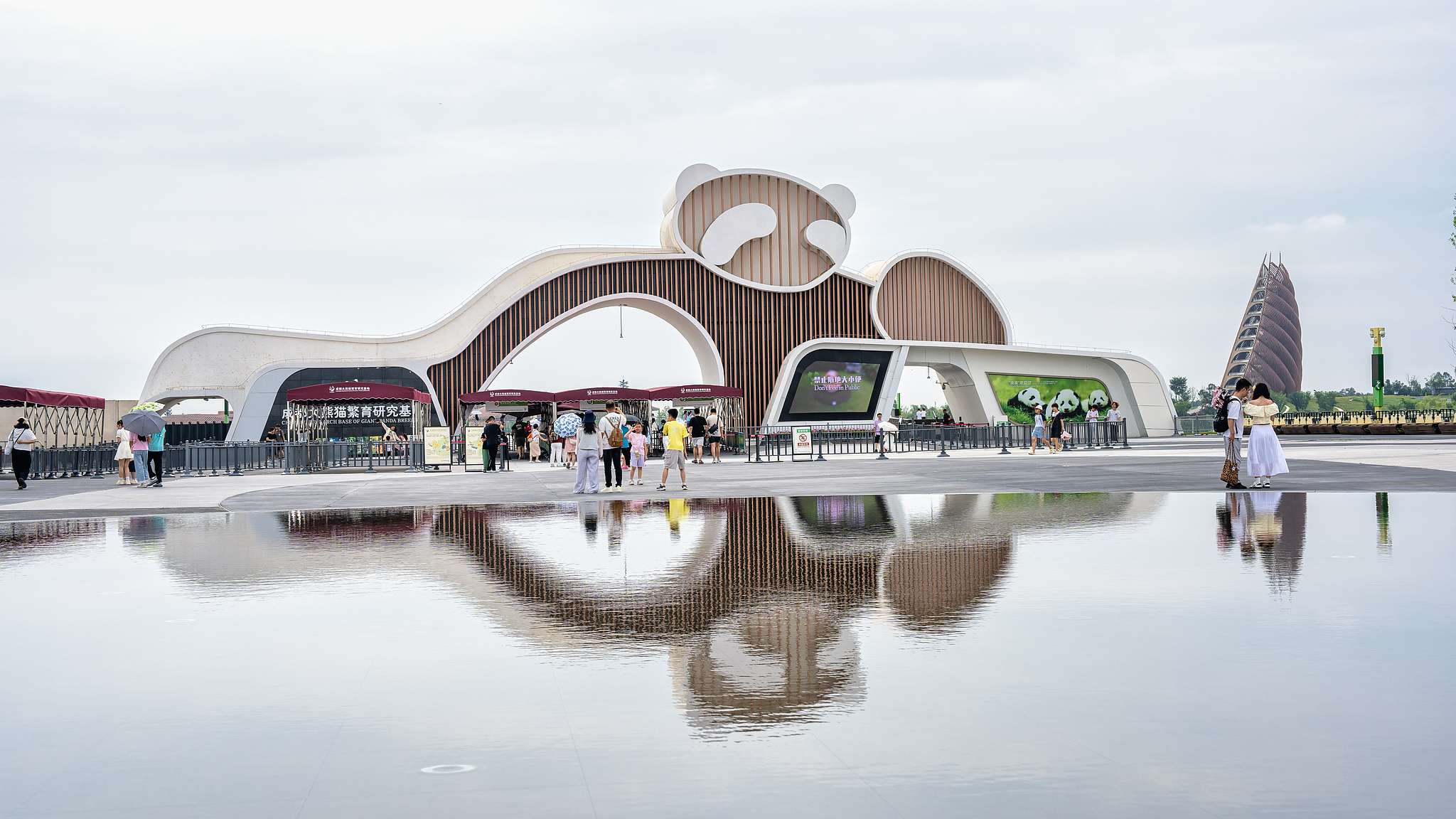 Giant pandas are waiting for you in Chengdu