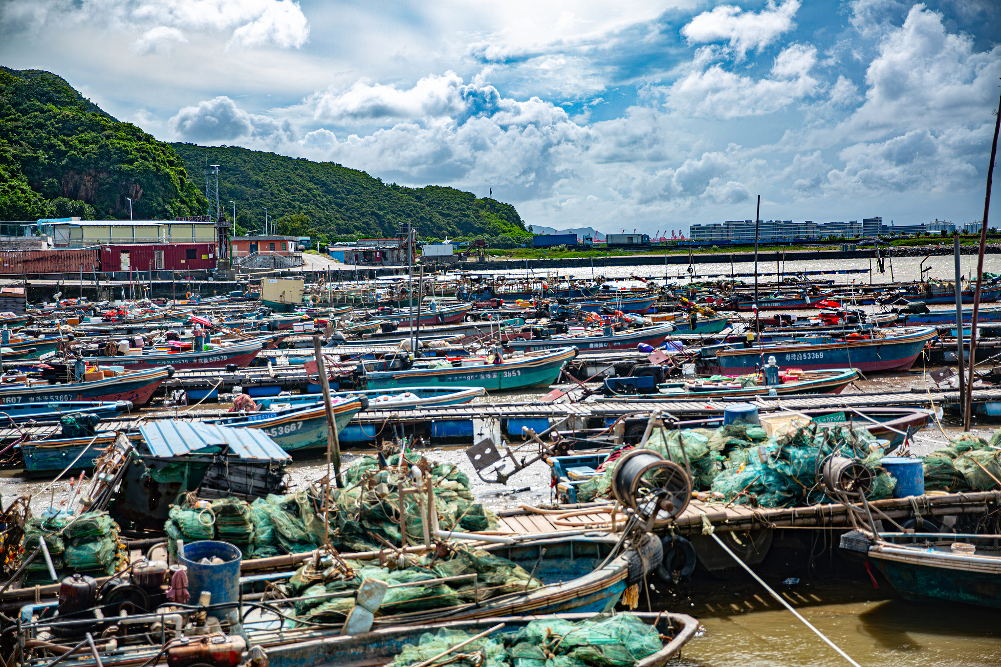 Fishing boats take shelter as Typhoon Tapah approaches Zhuhai, Guangdong Province, south China, September 7, 2025. /VCG