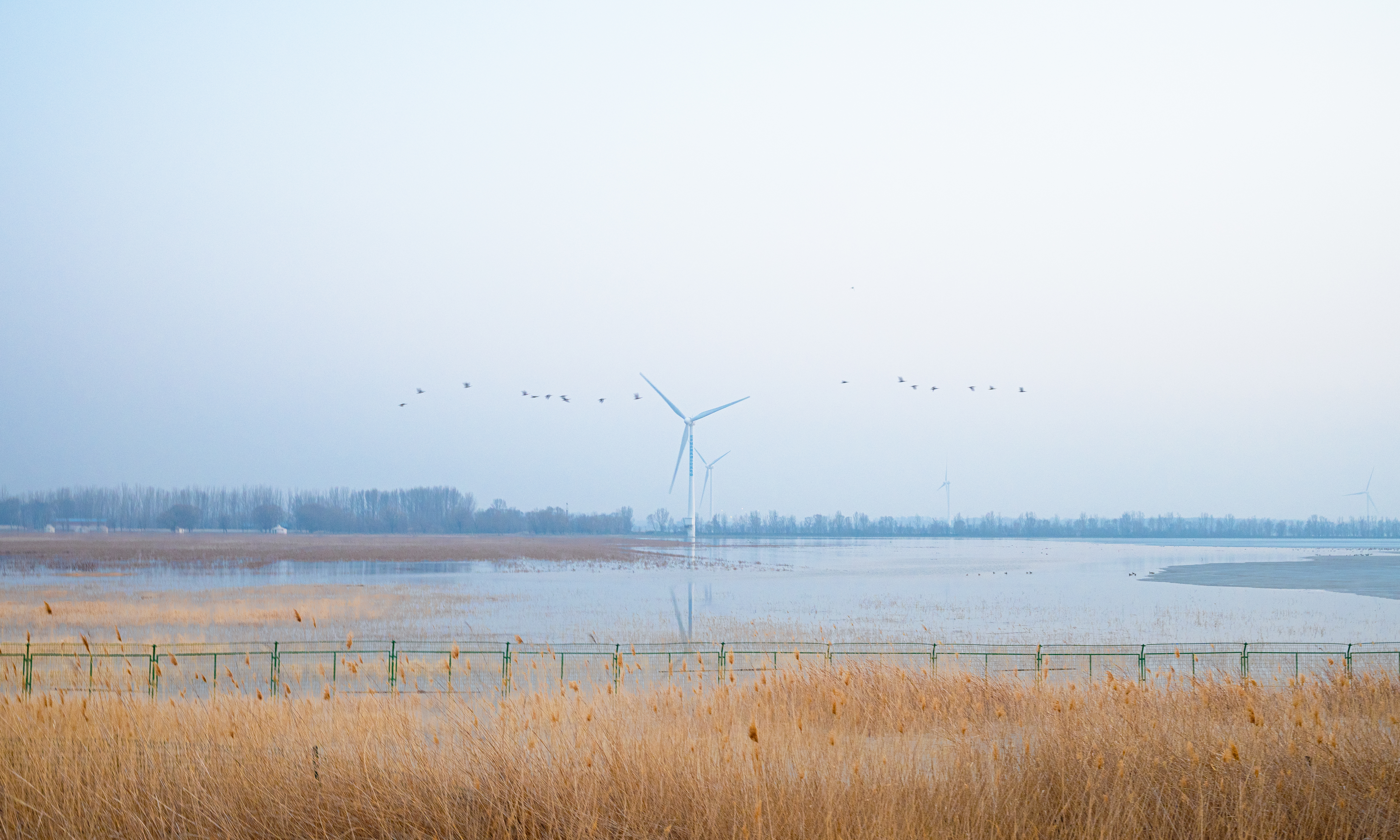 Wind Turbines: Harmony in the Mist: At dawn, mist drifts over the wetlands, and reed beds sway softly in the breeze. In the distance, wind turbines stand in quiet majesty; as their blades turn, they convert the wind's energy into electricity. Migratory birds glide across the sky in formation, merging seamlessly with the turbines and the wetland landscape.
This scene epitomizes a dialogue between humanity and nature – by building wind turbines, we harness clean energy to protect ecosystems, aligning with the UN Sustainable Development Goals of 